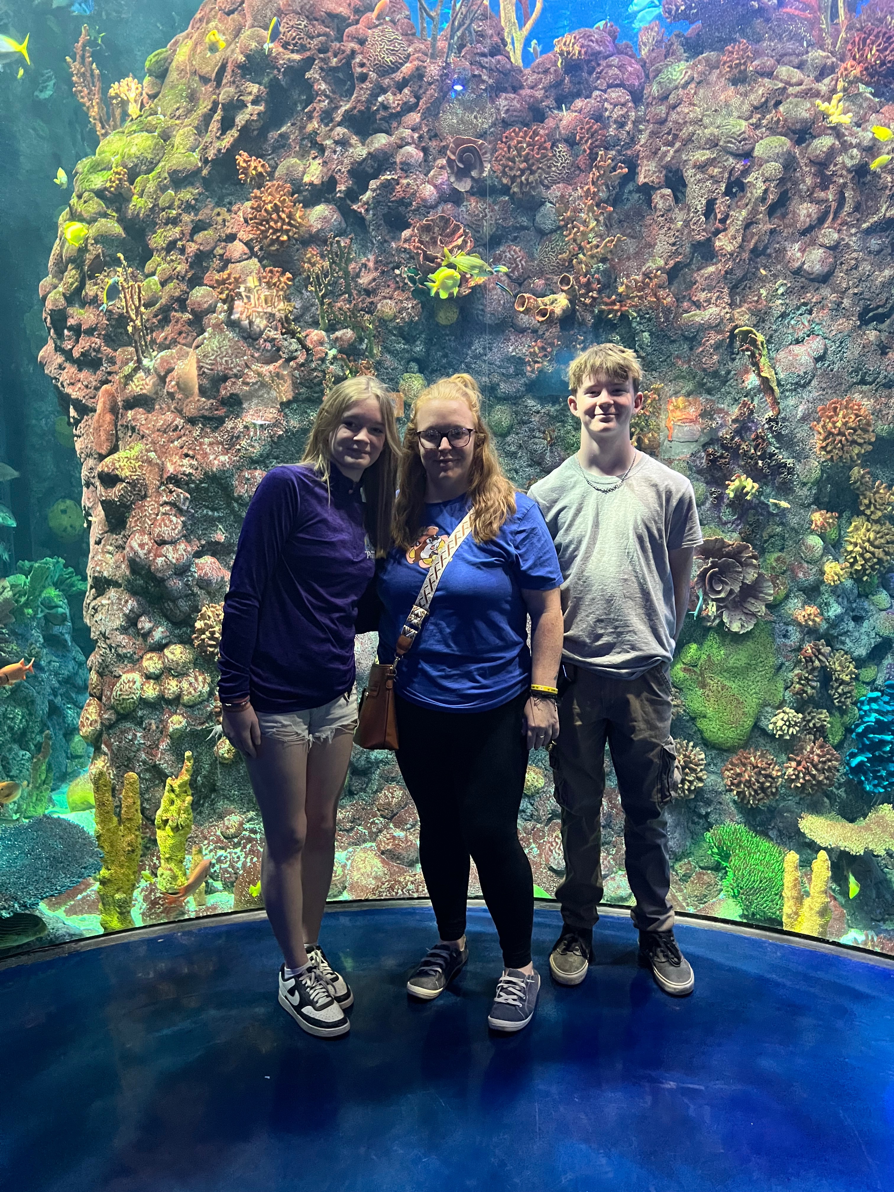 User-uploaded image 1