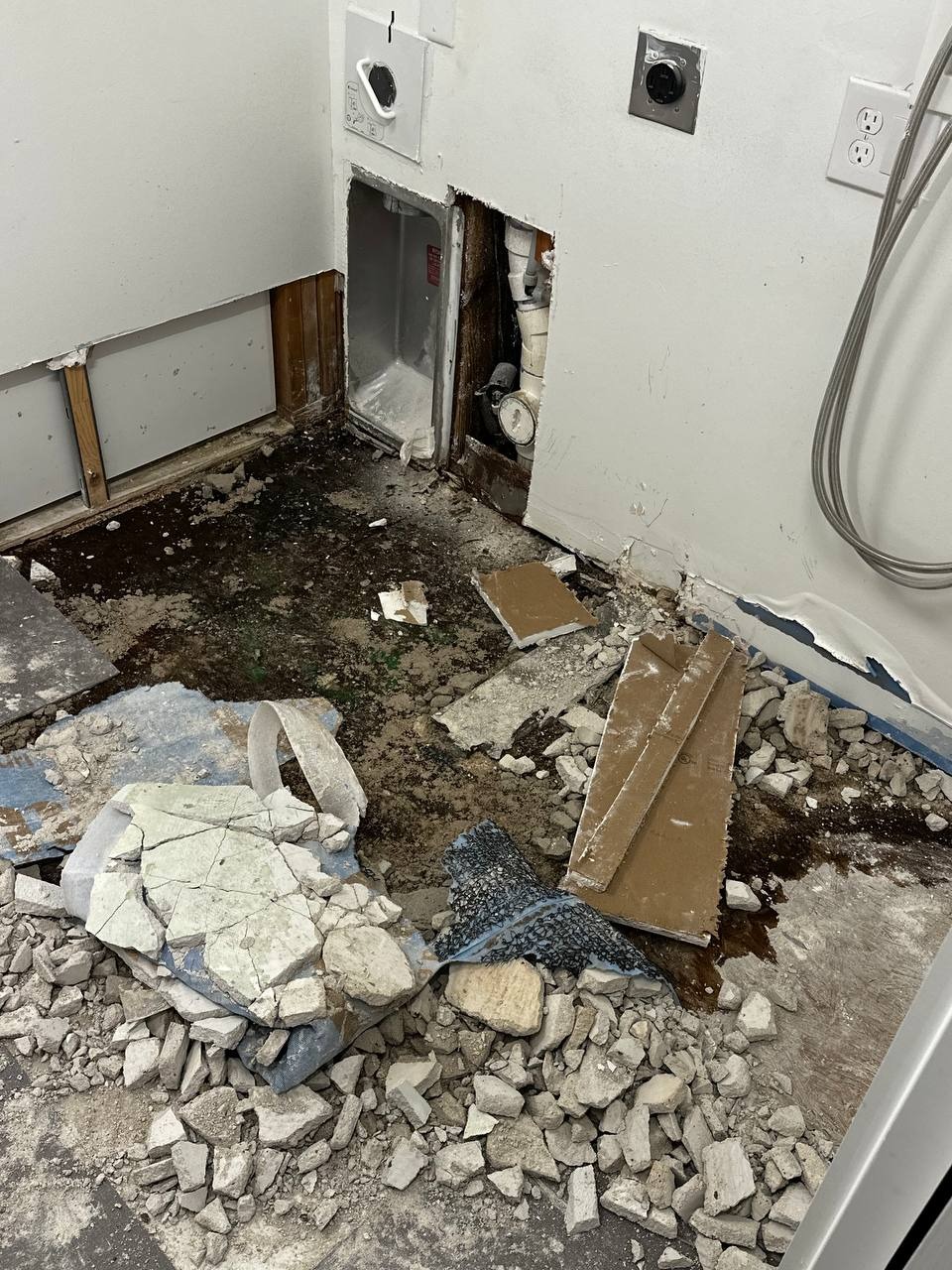 Help Save Stacey: Mold Toxicity Crisis campaign photo, 5 of 7