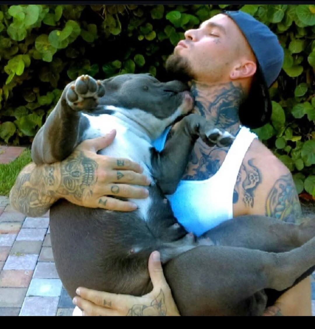 User-uploaded image 1