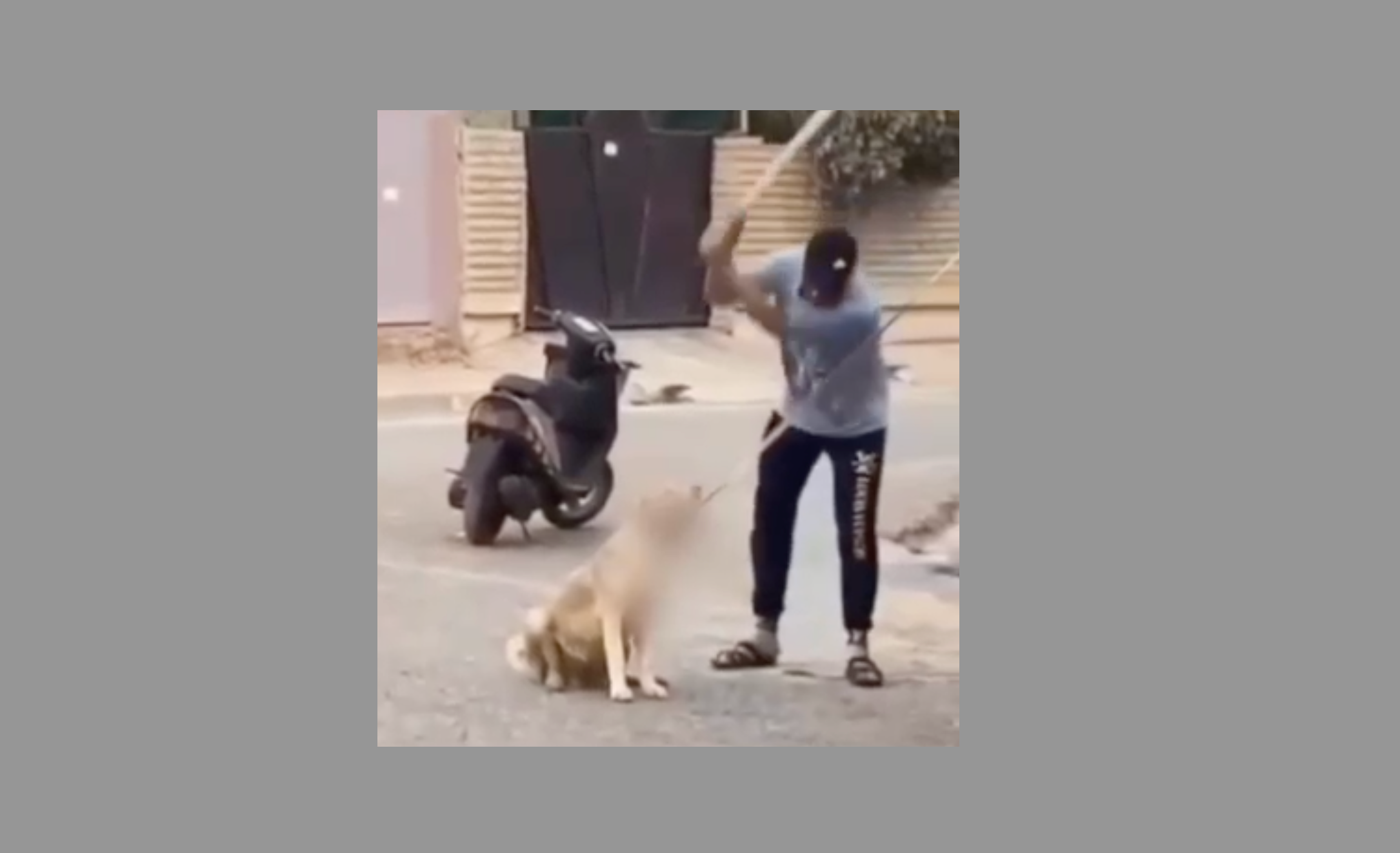 User-uploaded image 1