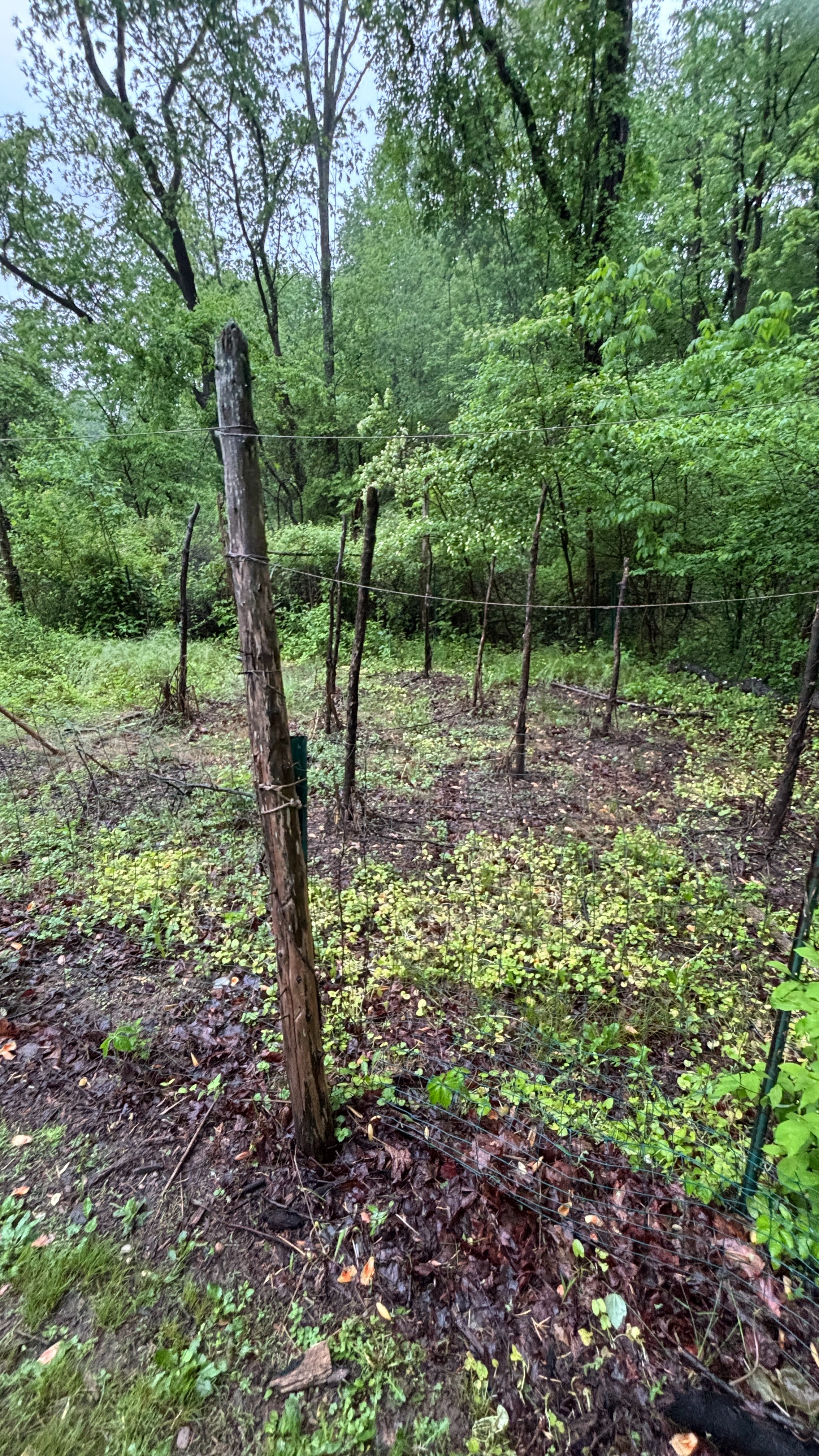 Fundraiser by Evan Wicke : Support Evan Wicke's Eagle Scout Fencing Project