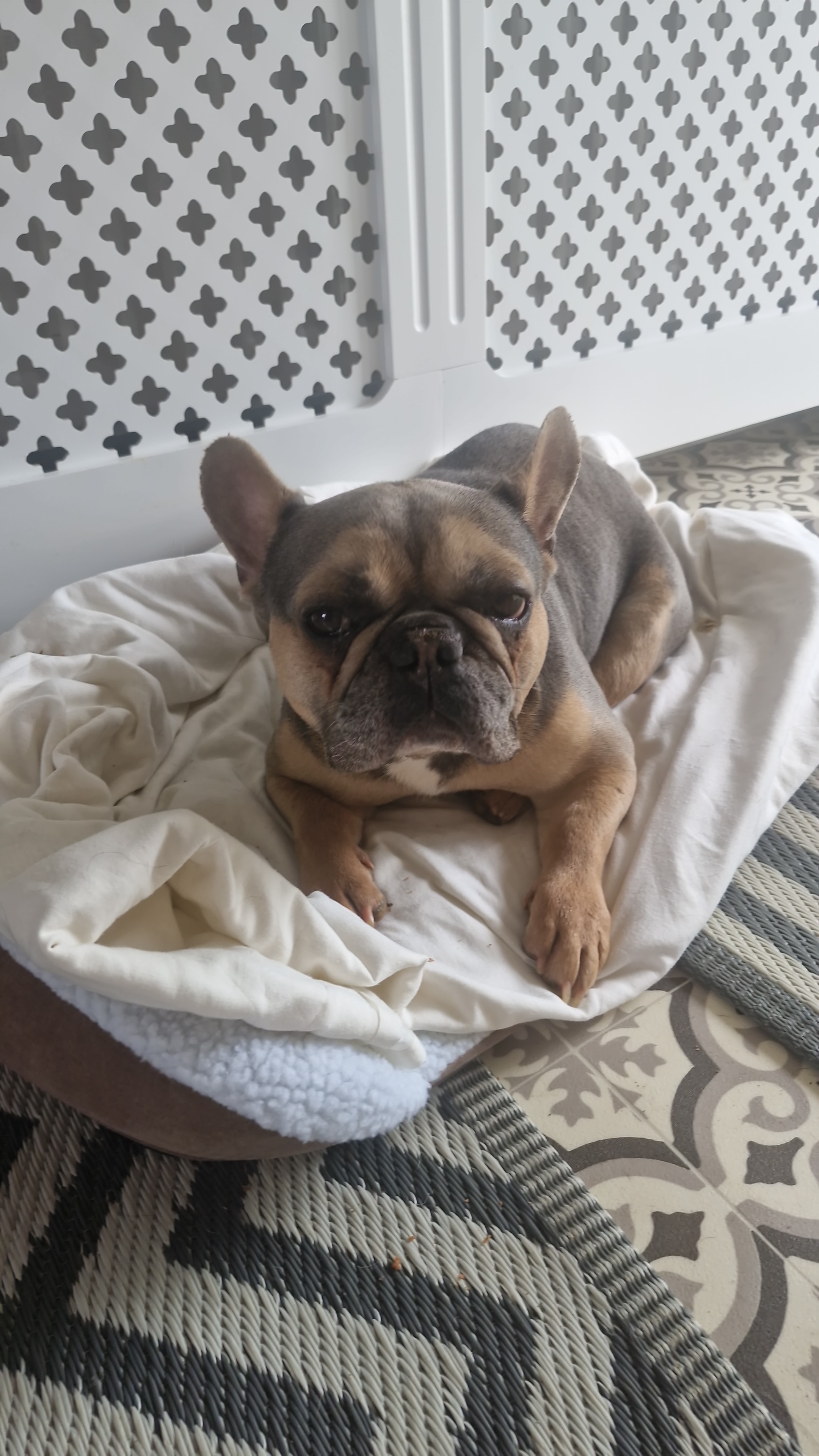 User-uploaded image 1