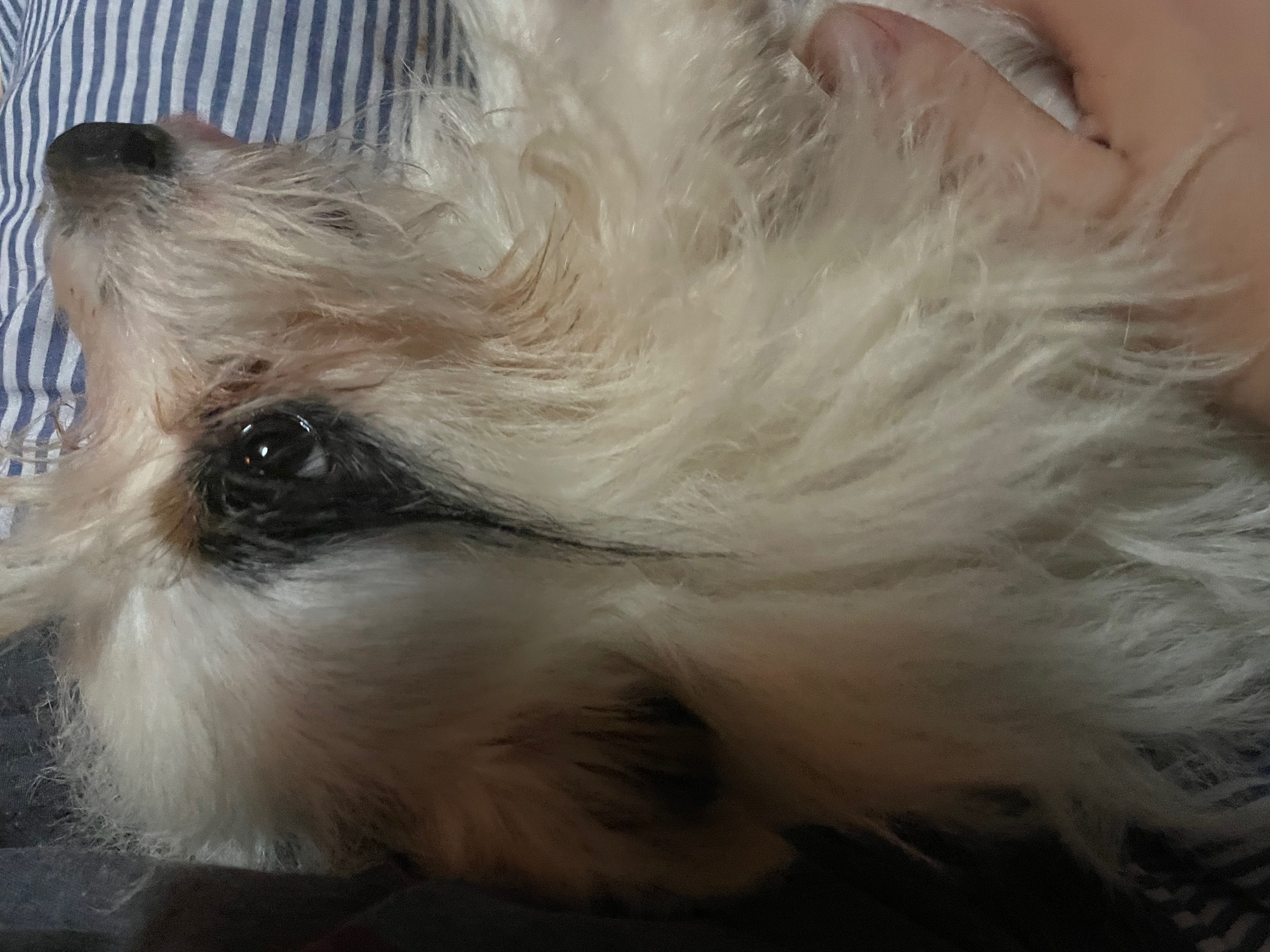 User-uploaded image 1