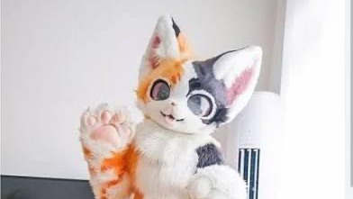 Fursuit Dream Since 12: Can You Help? photo