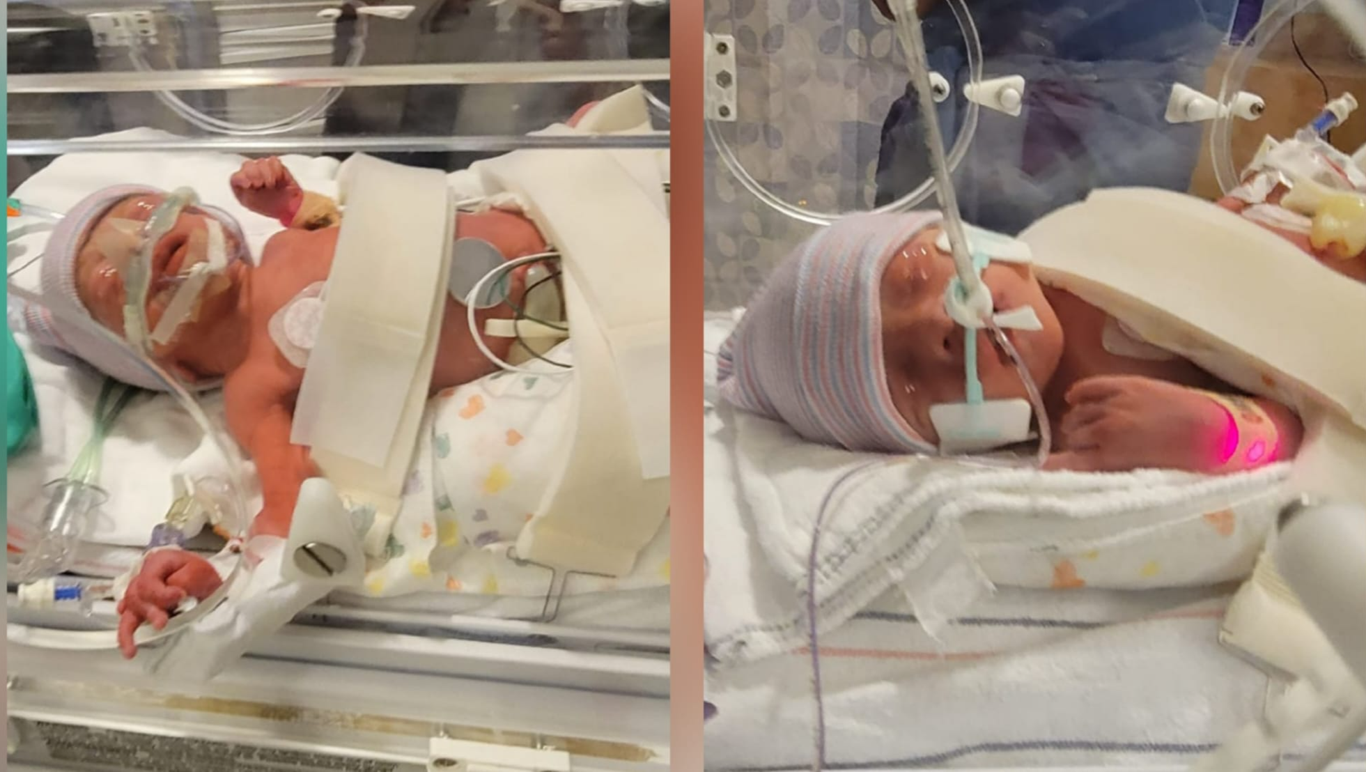 Help Support Preemie Twins Jensen & Jasper and Their Family photo