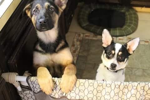 User-uploaded image 1