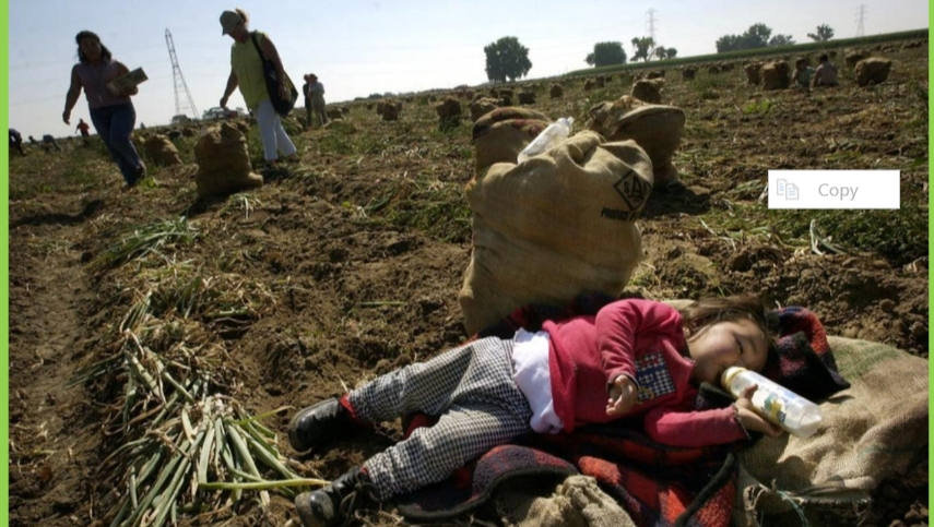 Delivering Hope: Groceries for Mexican Children & Families photo