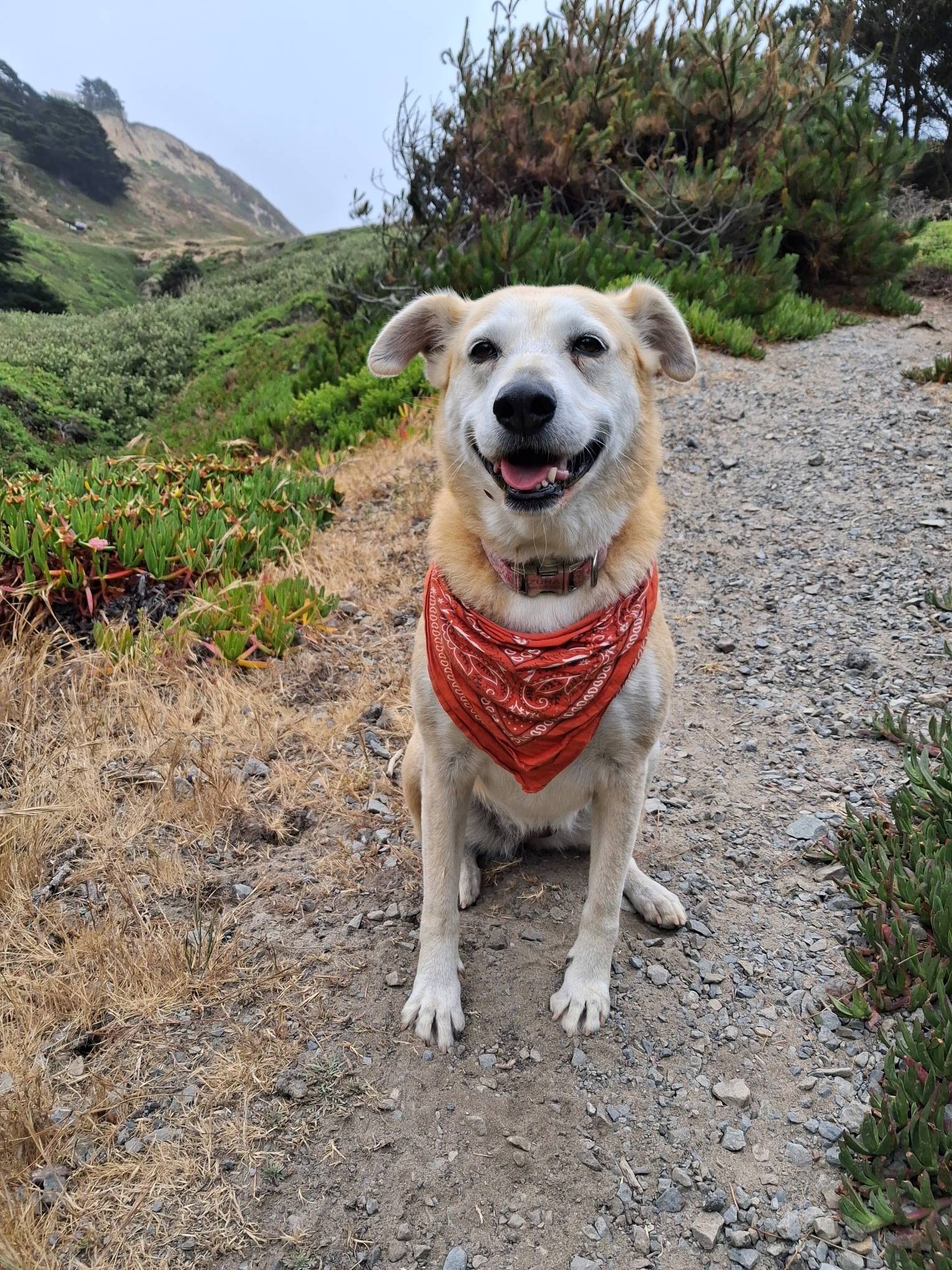 User-uploaded image 1