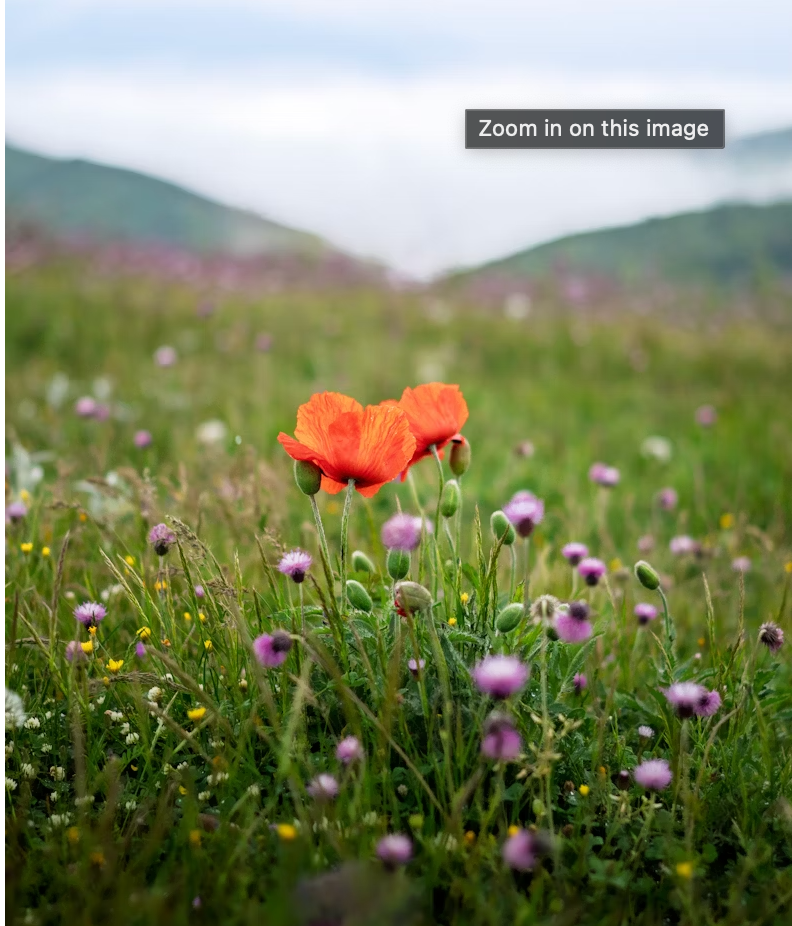 User-uploaded image 1