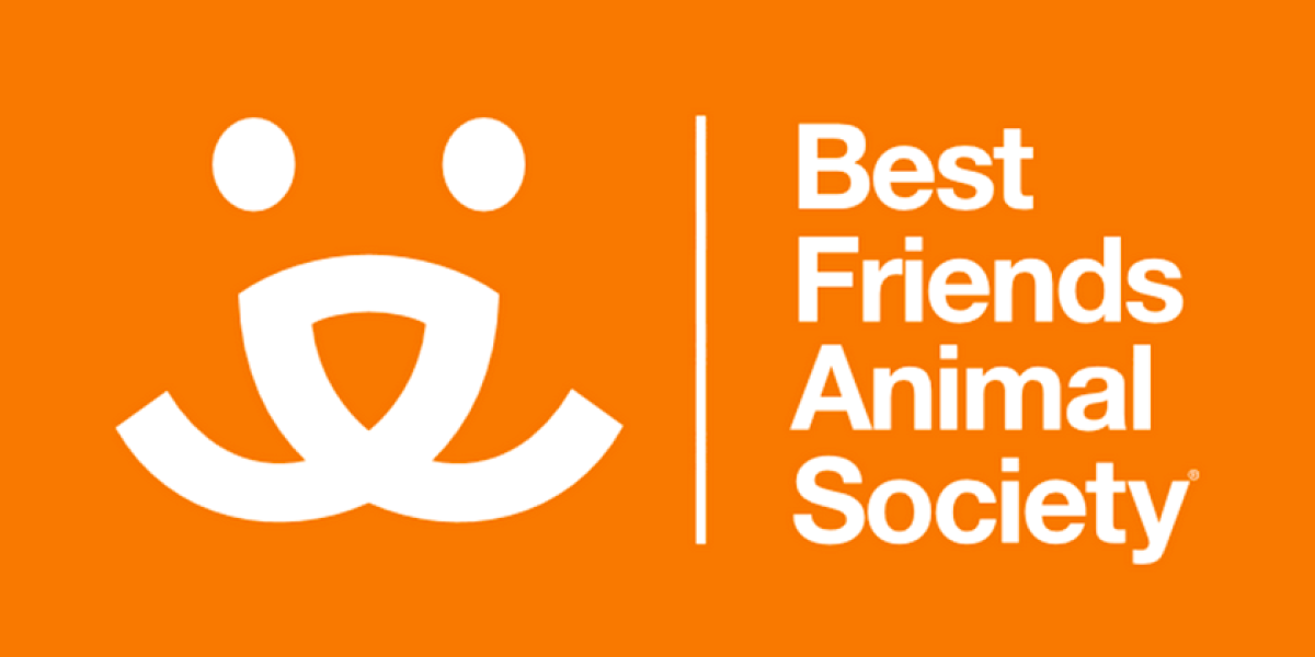 User-uploaded image 1