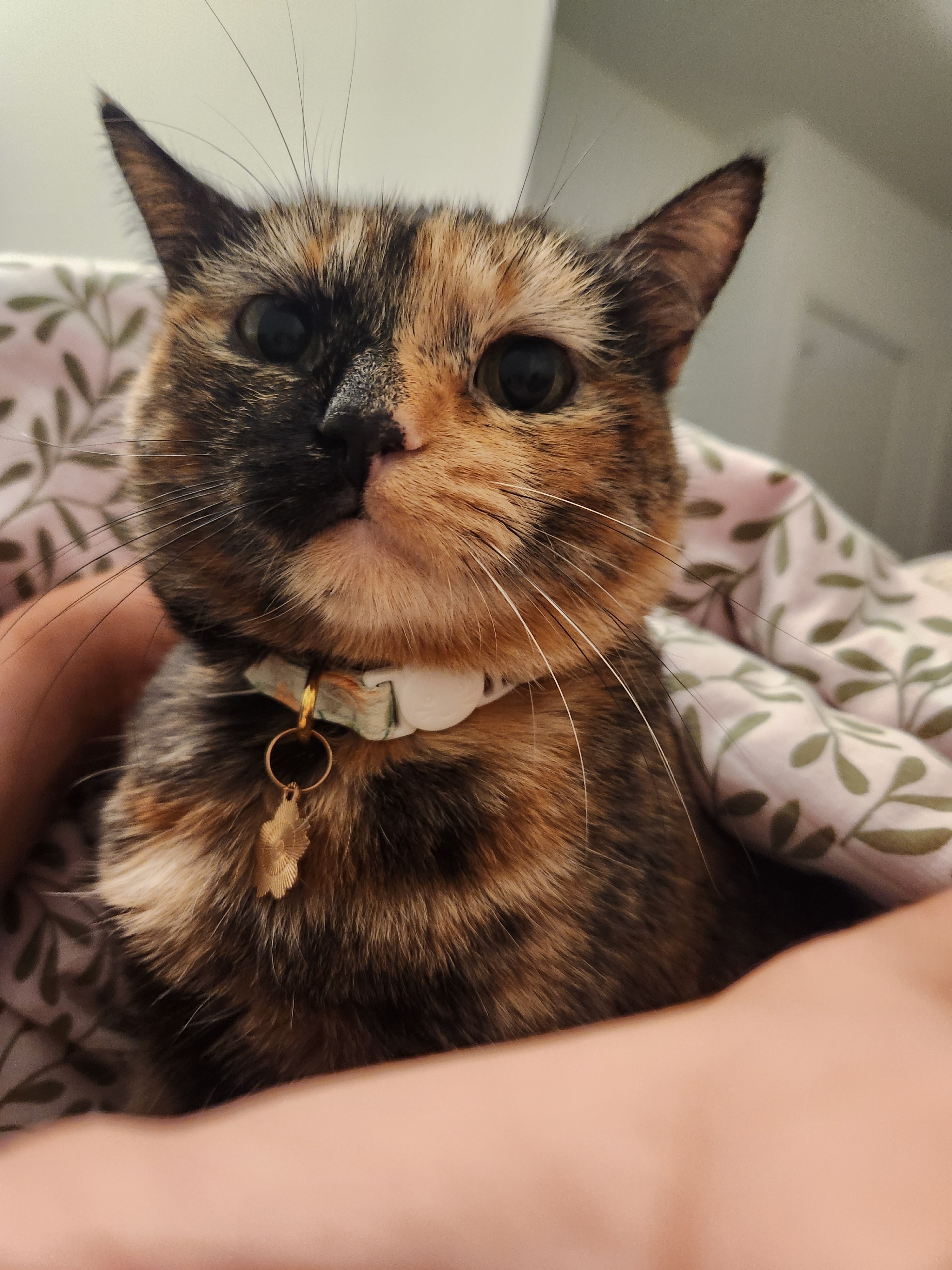 User-uploaded image 1