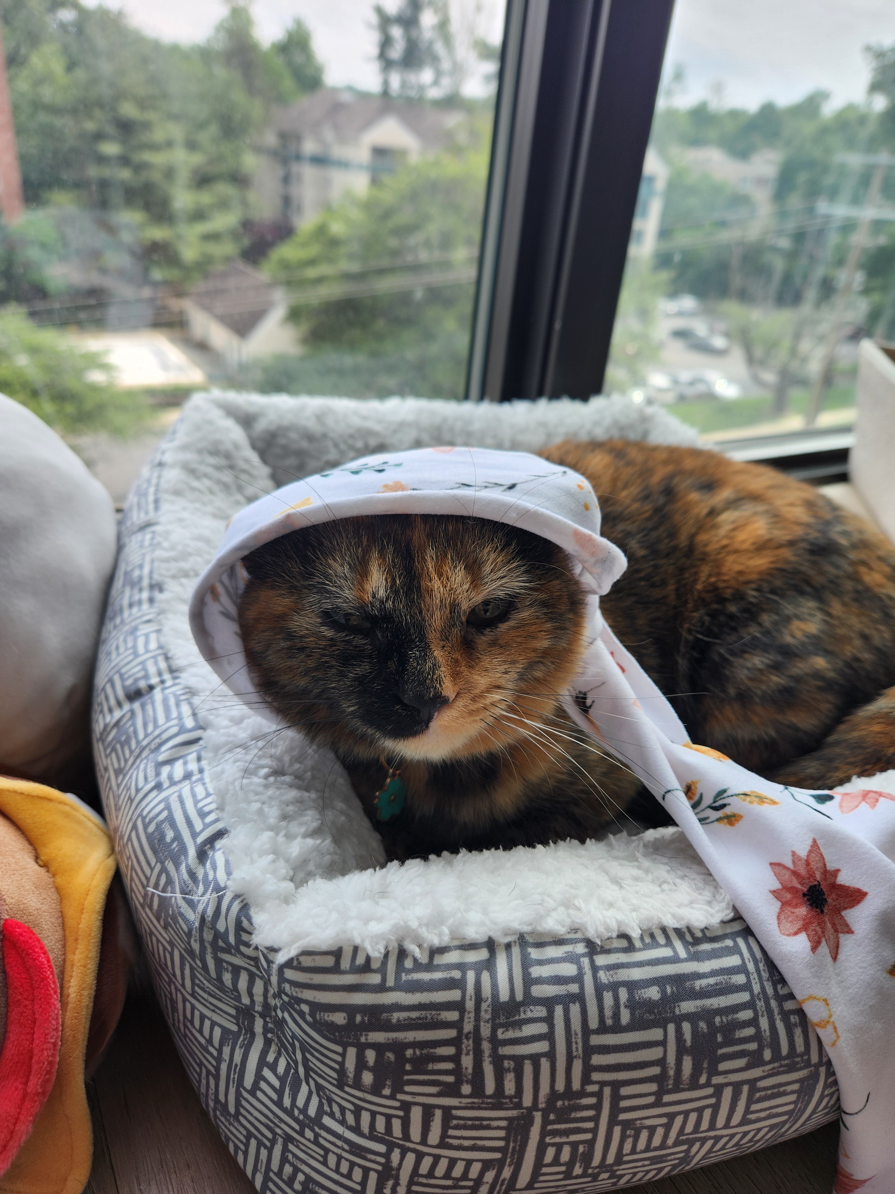 User-uploaded image 2