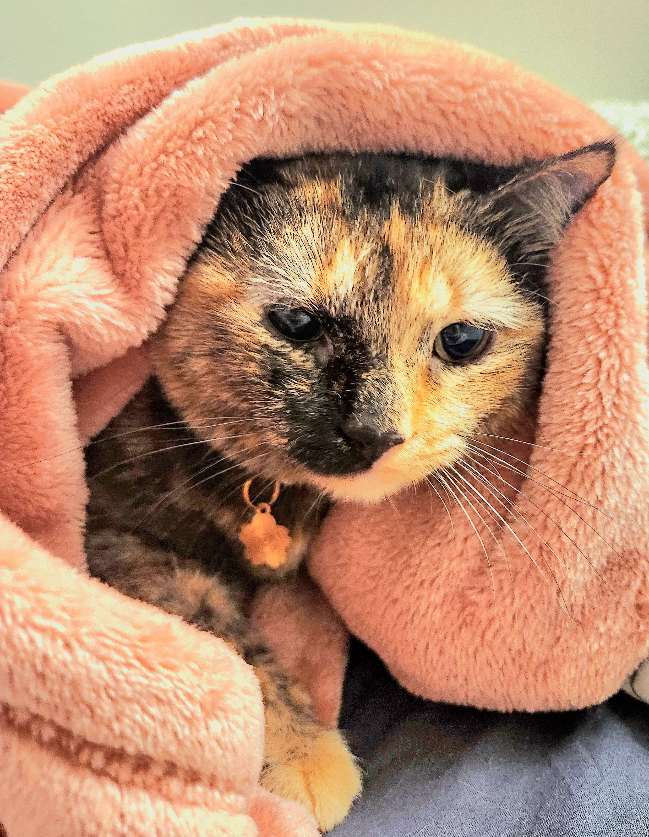 User-uploaded image 3