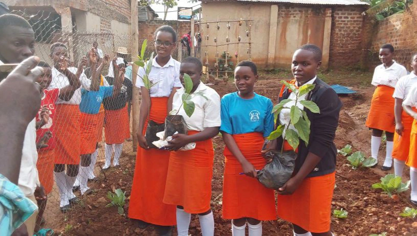 Birthday Tree Planting Cake: Help Us Grow a Greener Uganda! photo