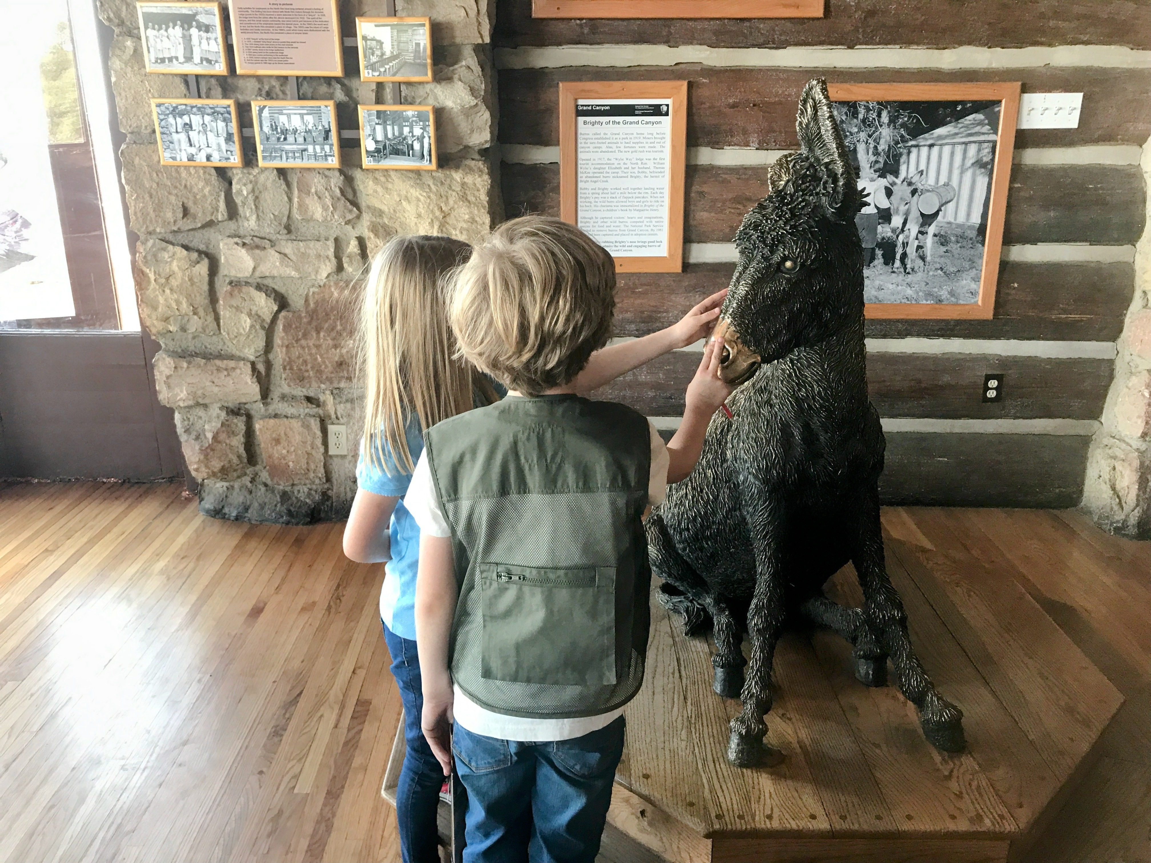 User-uploaded image 2