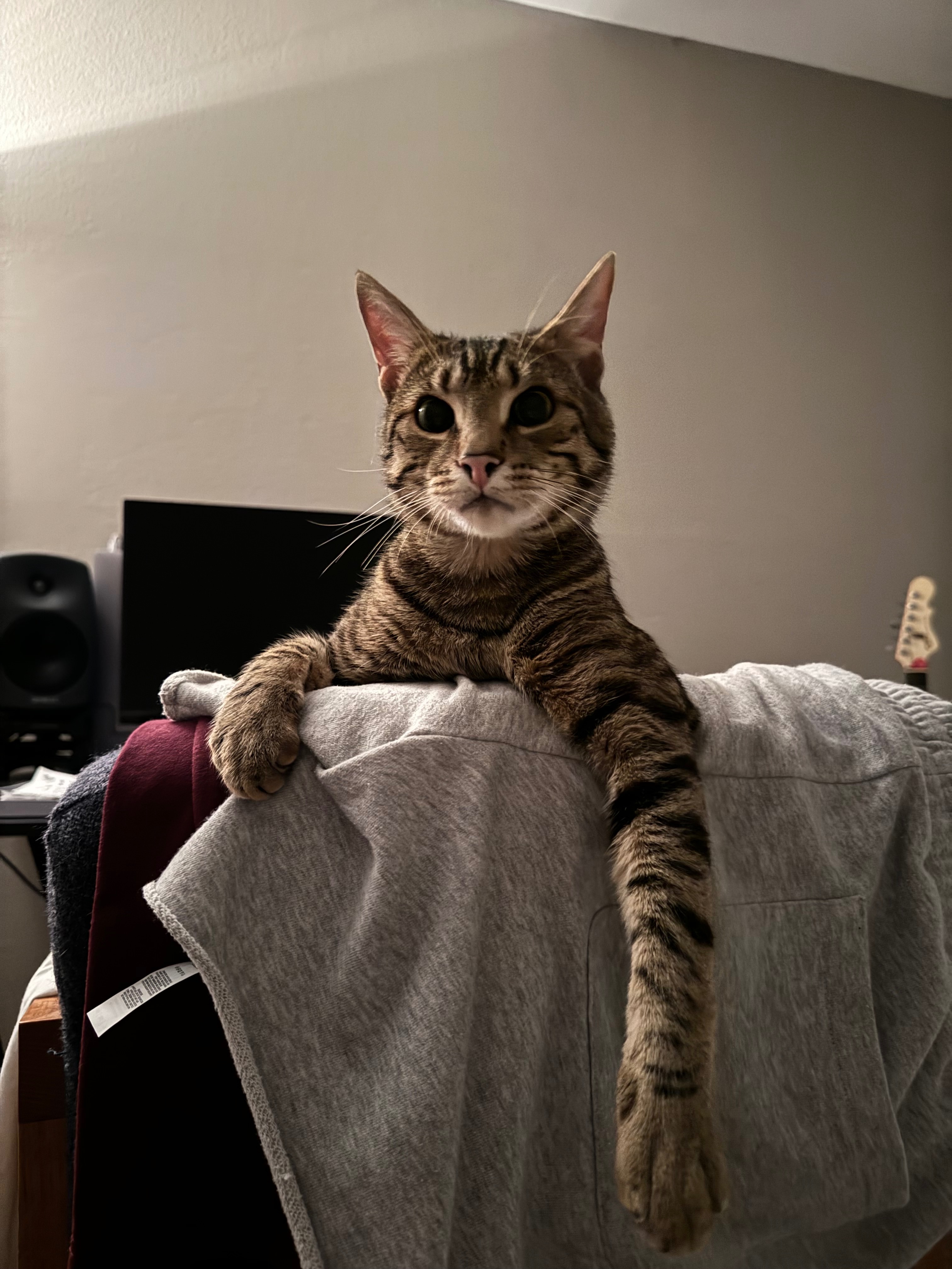 User-uploaded image 1