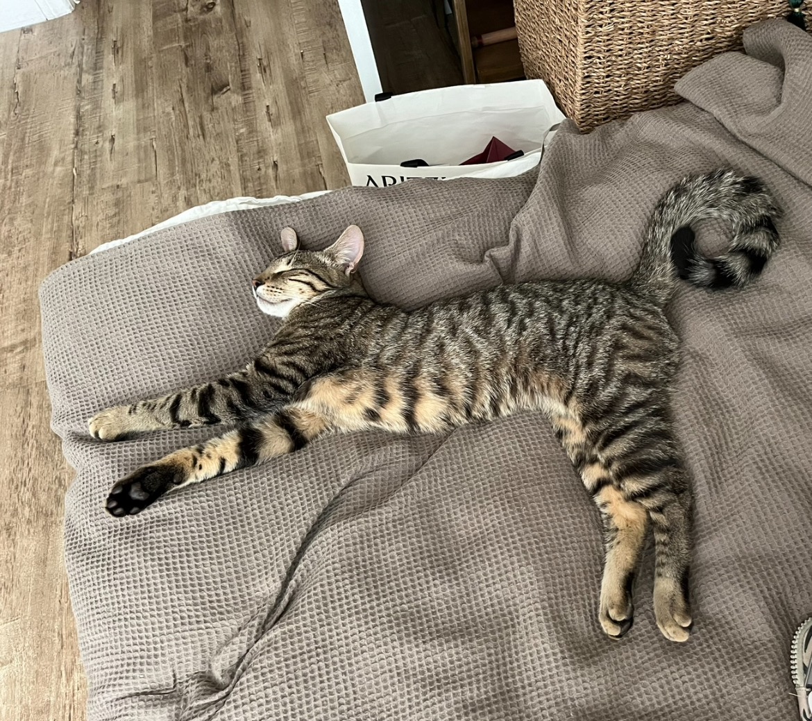 User-uploaded image 2