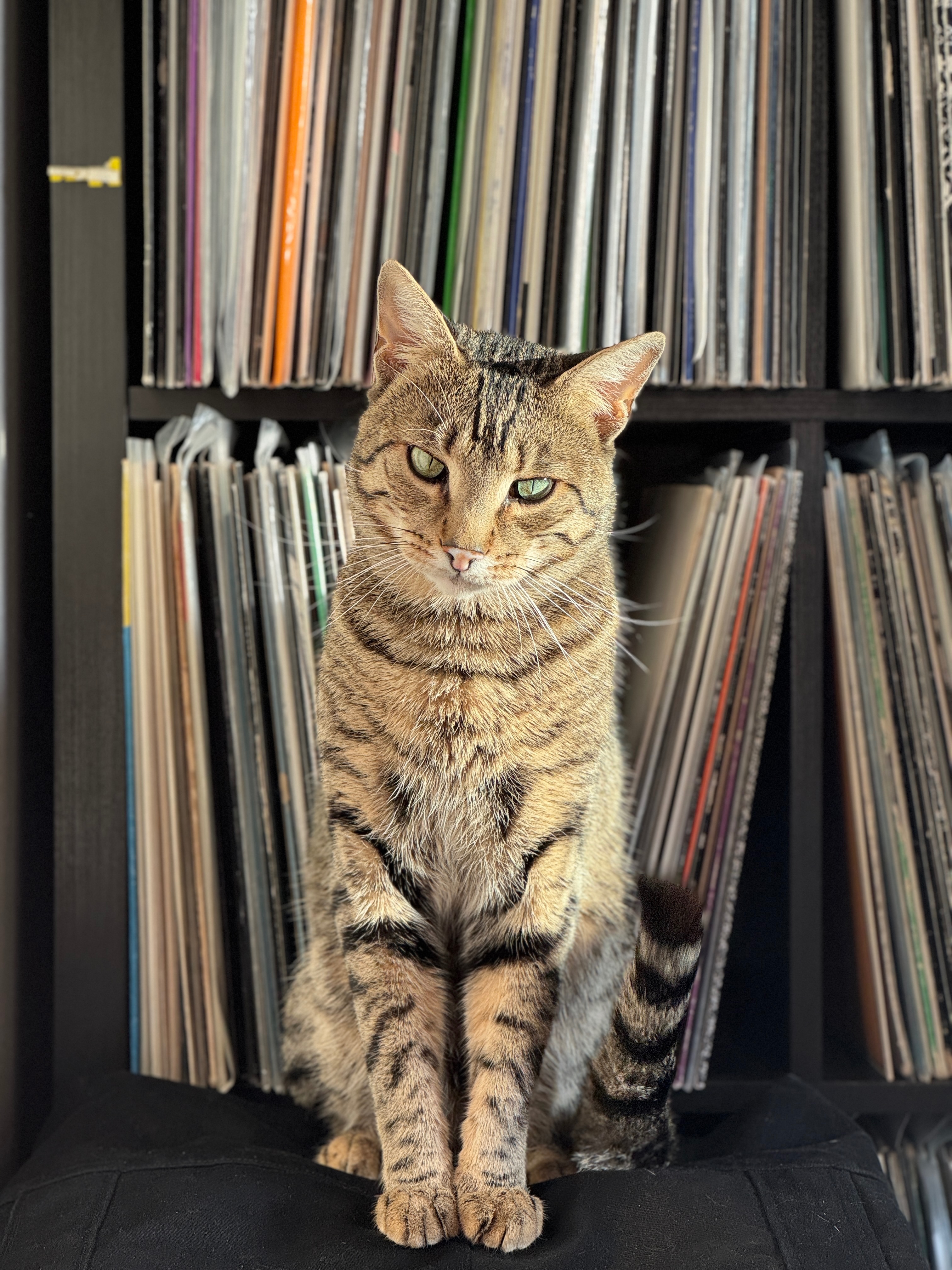 User-uploaded image 3