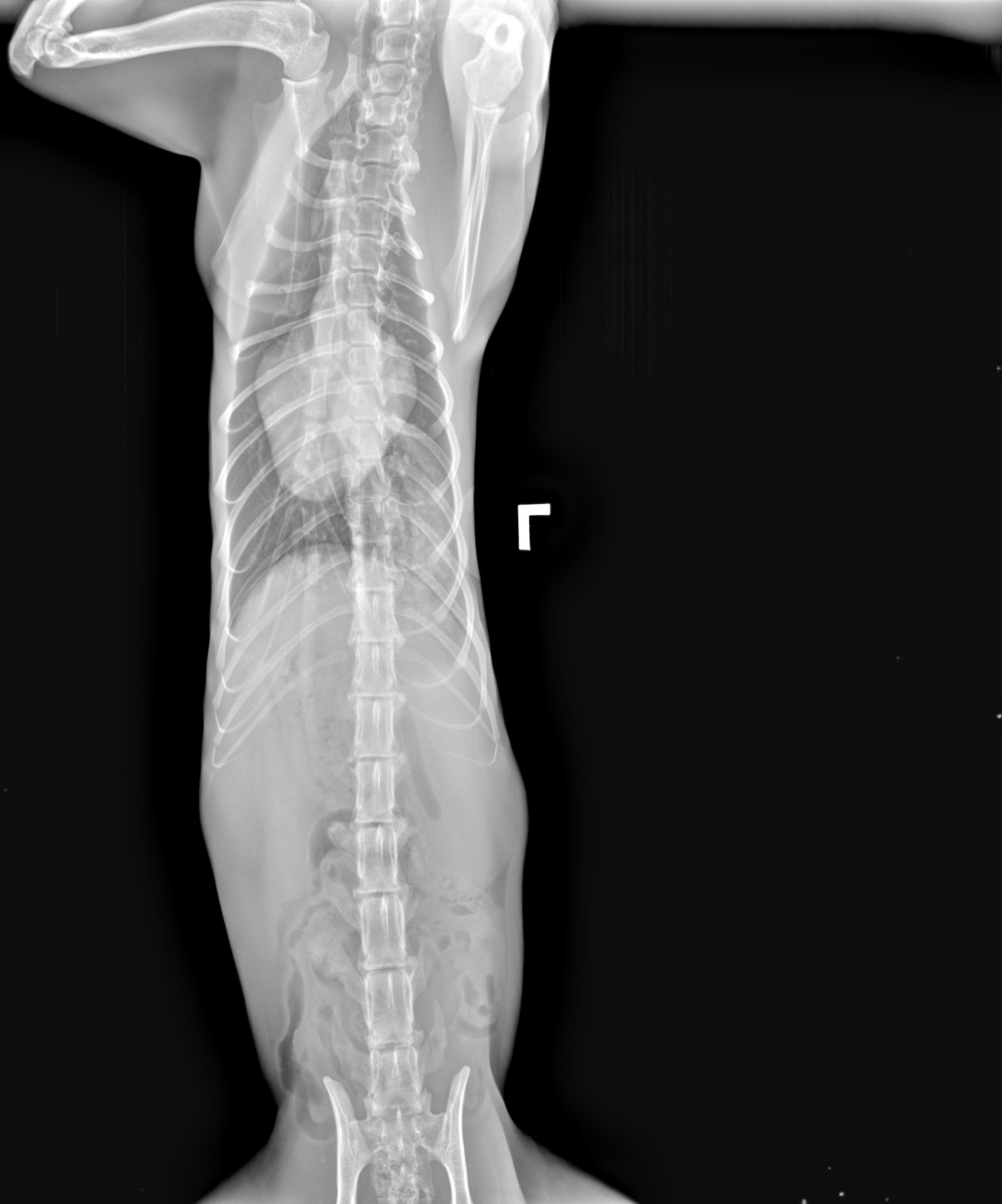 User-uploaded image 4