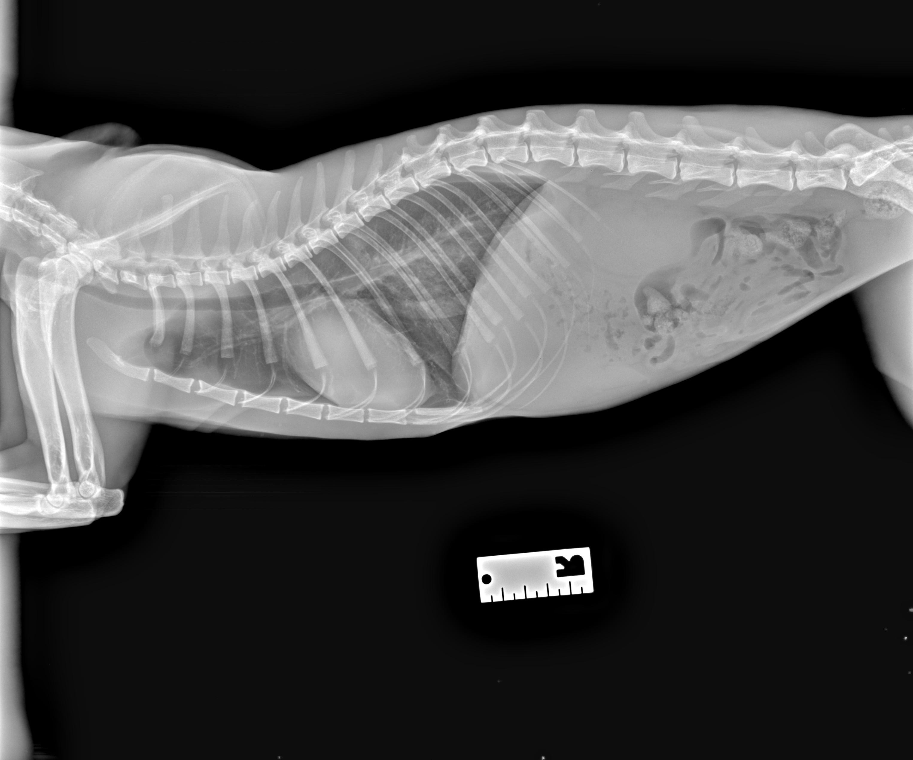 User-uploaded image 5