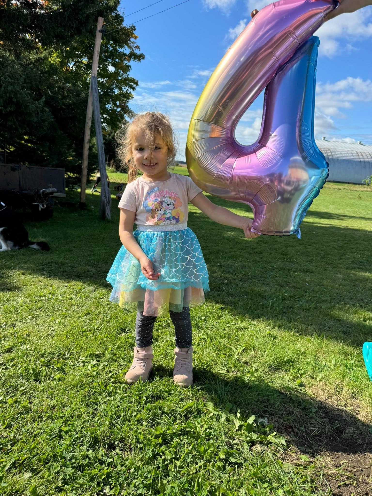 User-uploaded image 5