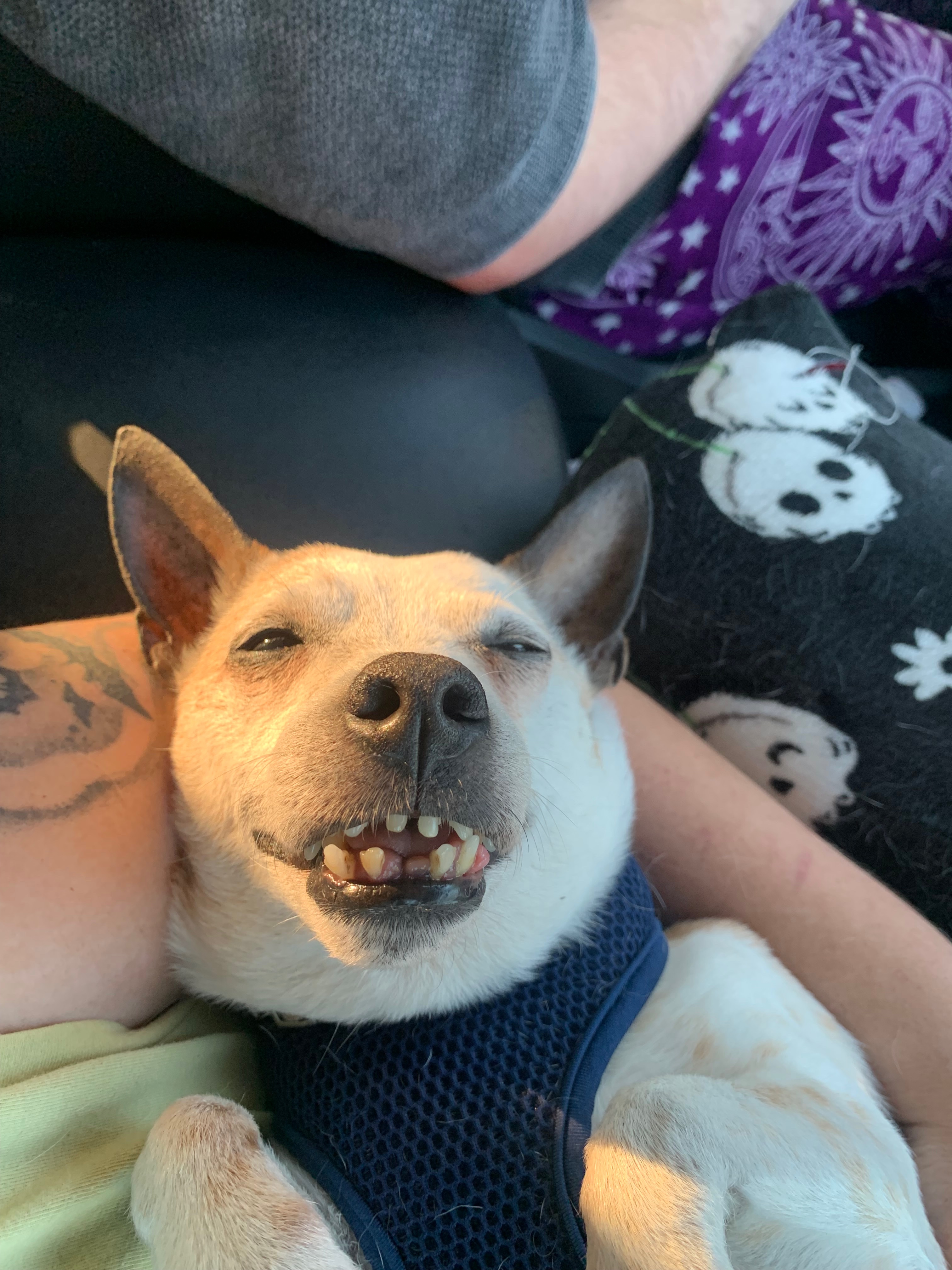 Blue’s Recovery from Abuse campaign photo, 6 of 8
