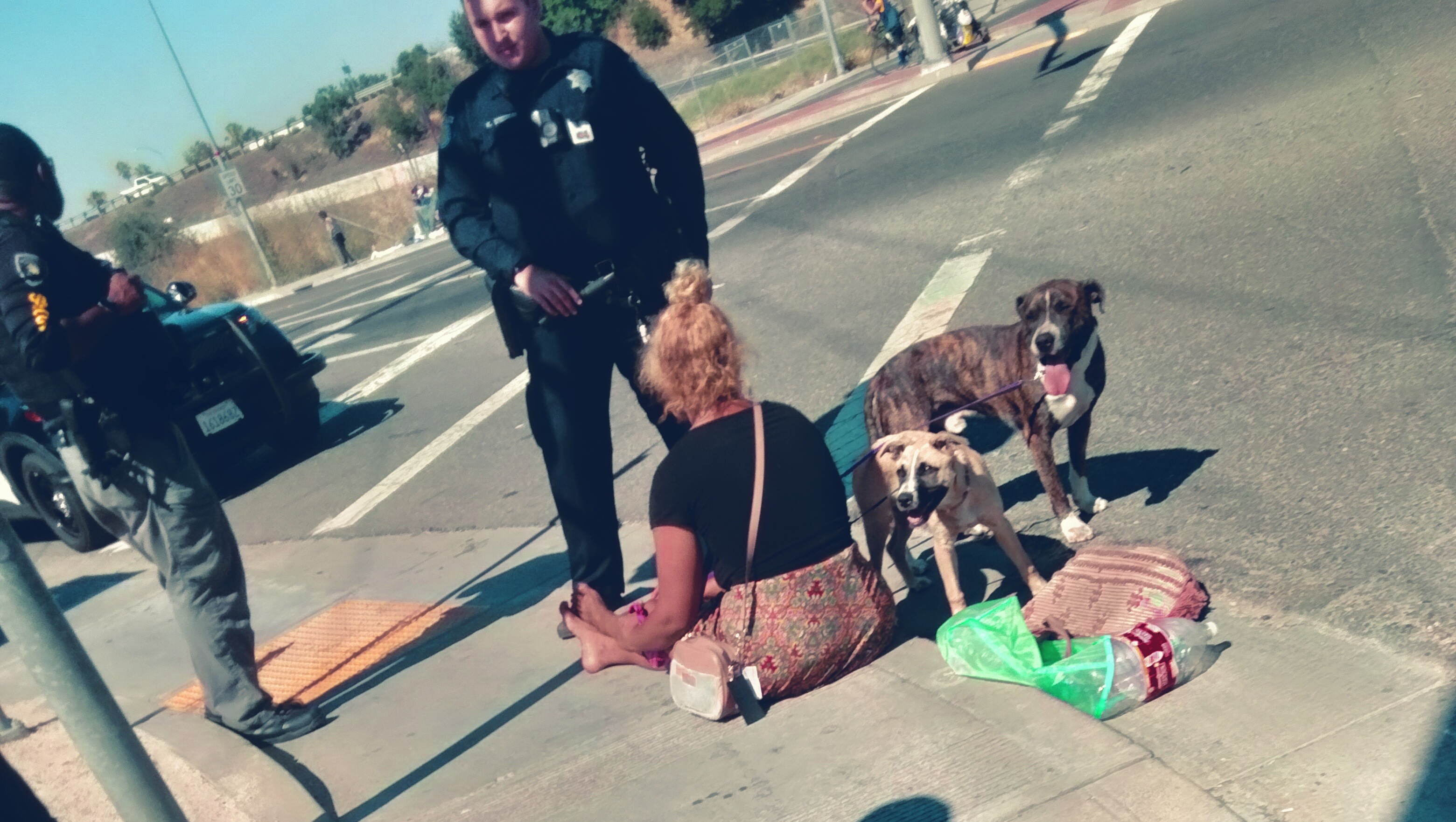Support Elizabeth’s Unhoused Family & Pets