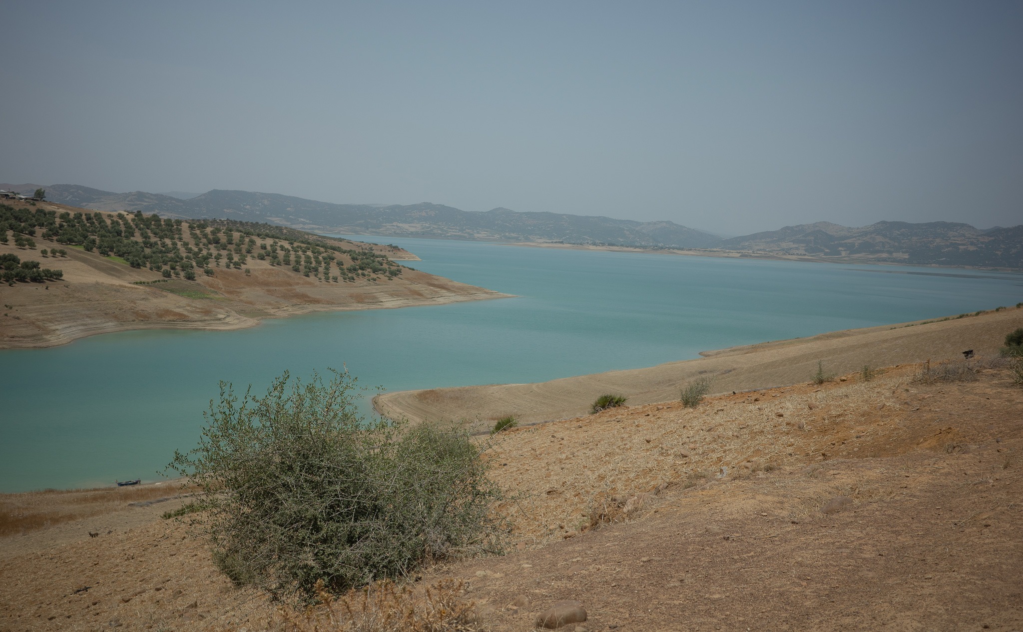 Help Us Regrow a Native Forest in Northern Morocco campaign photo, 2 of 4