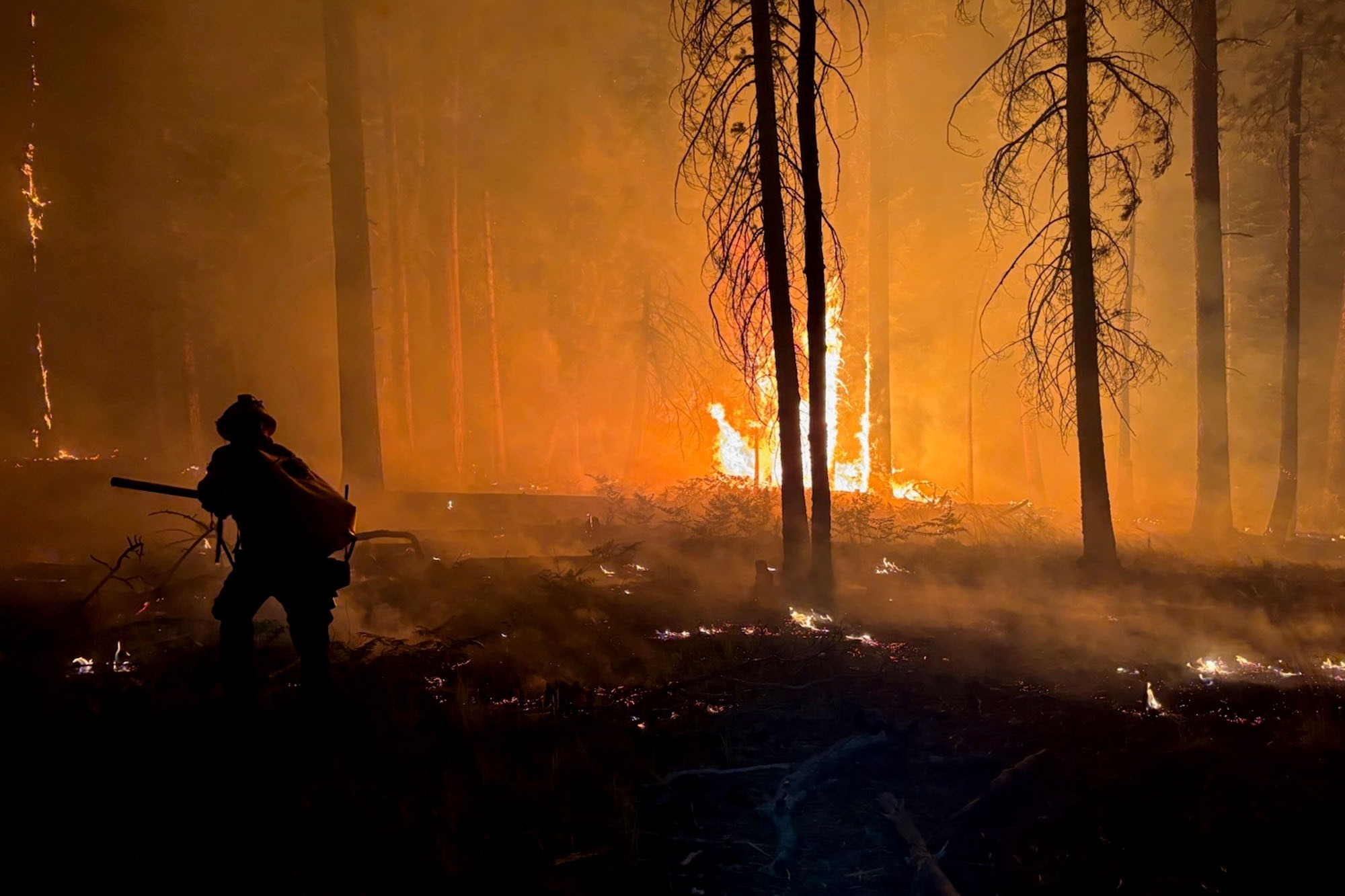 User-uploaded image 1