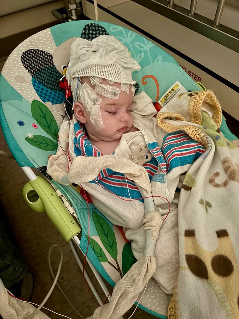 Fundraiser for Rachelle Stelzner by Miranda Pierce : Help the Stelzner ...