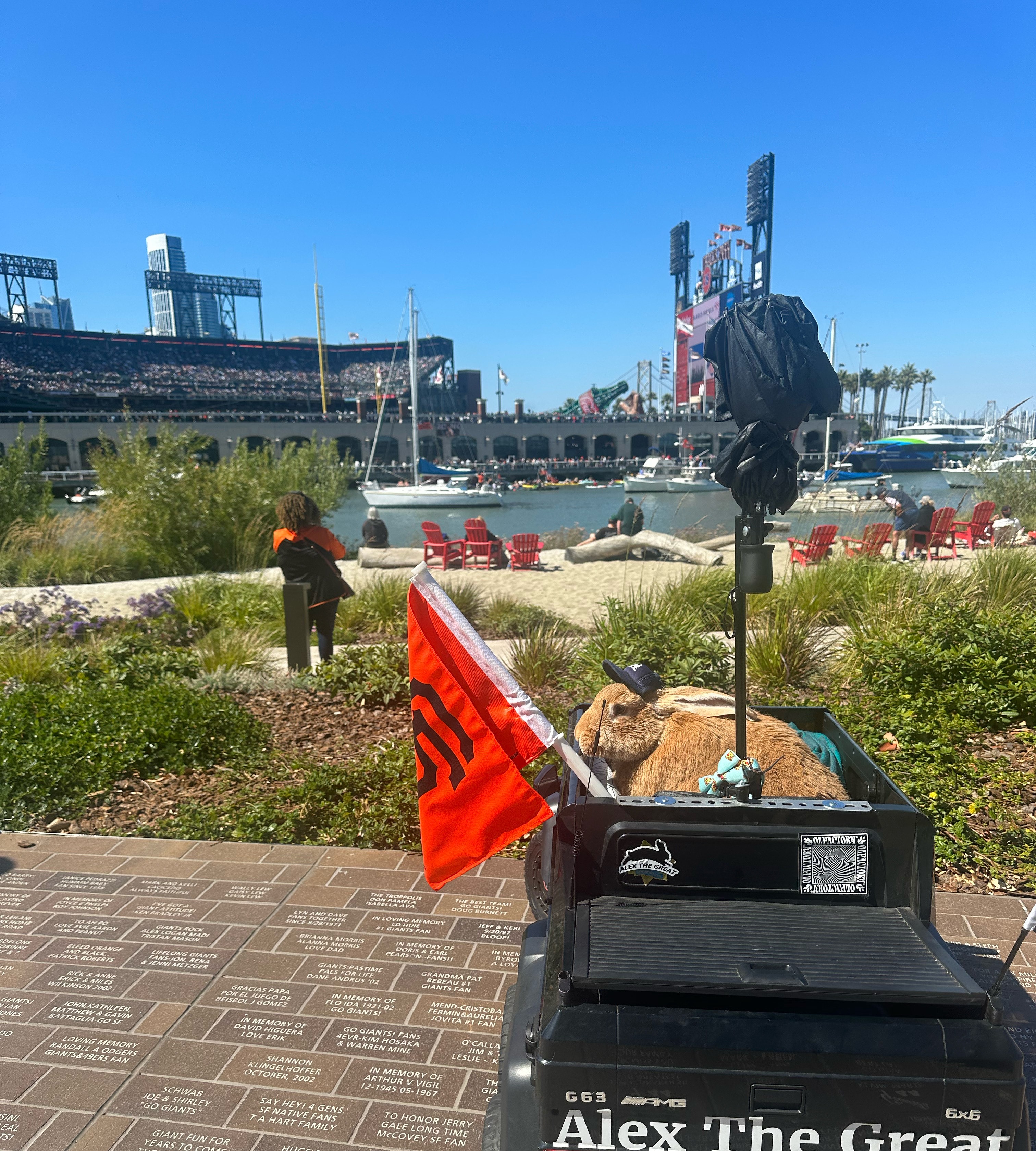 User-uploaded image 1