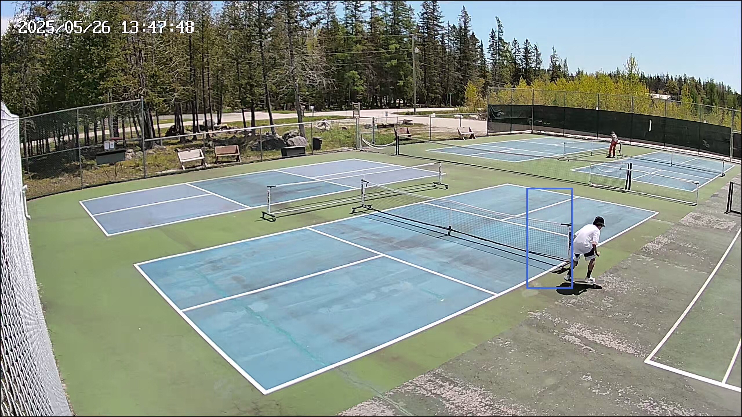 Pickleball Nation Help Us! campaign photo, 2 of 6