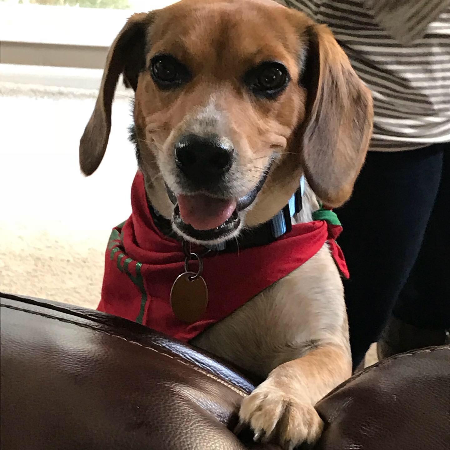 Help Our Little Ben Get a Prosthetic campaign photo, 7 of 8