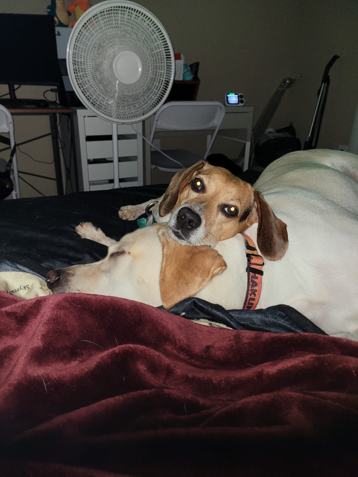 Help Our Little Ben Get a Prosthetic campaign photo, 2 of 8