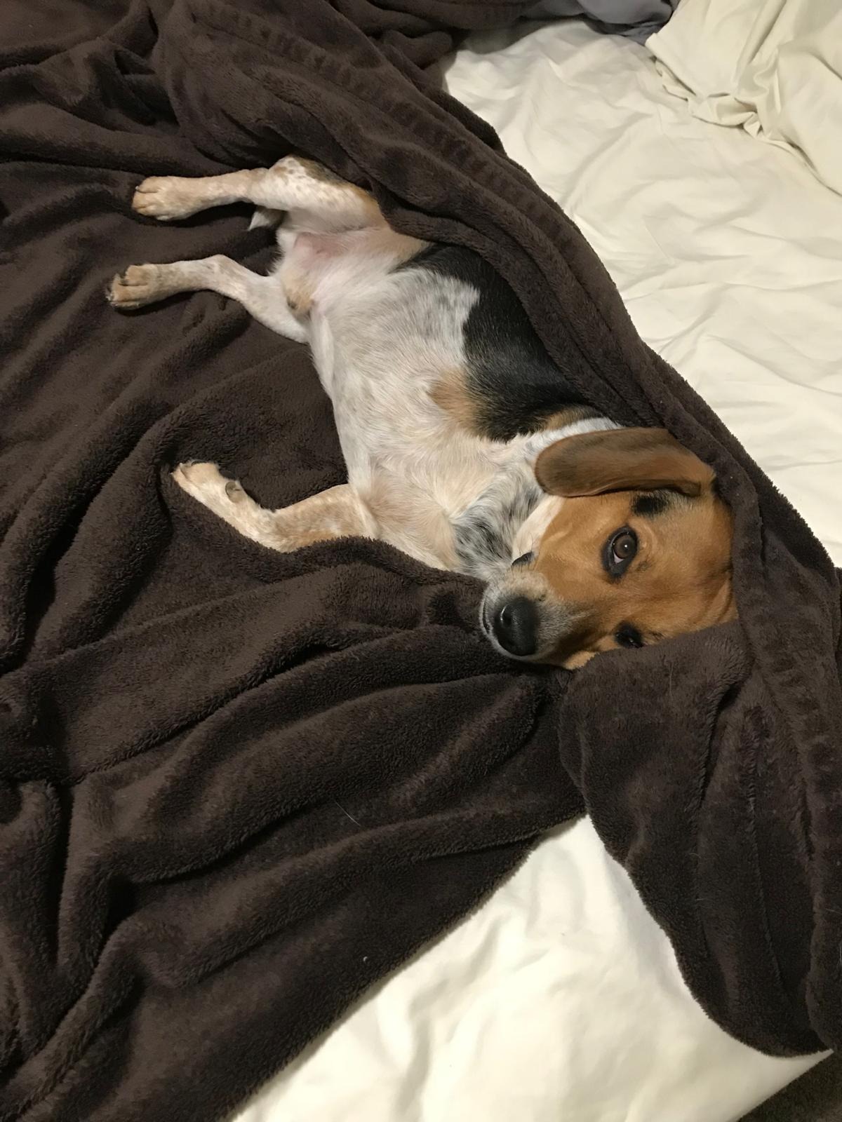 Help Our Little Ben Get a Prosthetic campaign photo, 4 of 8