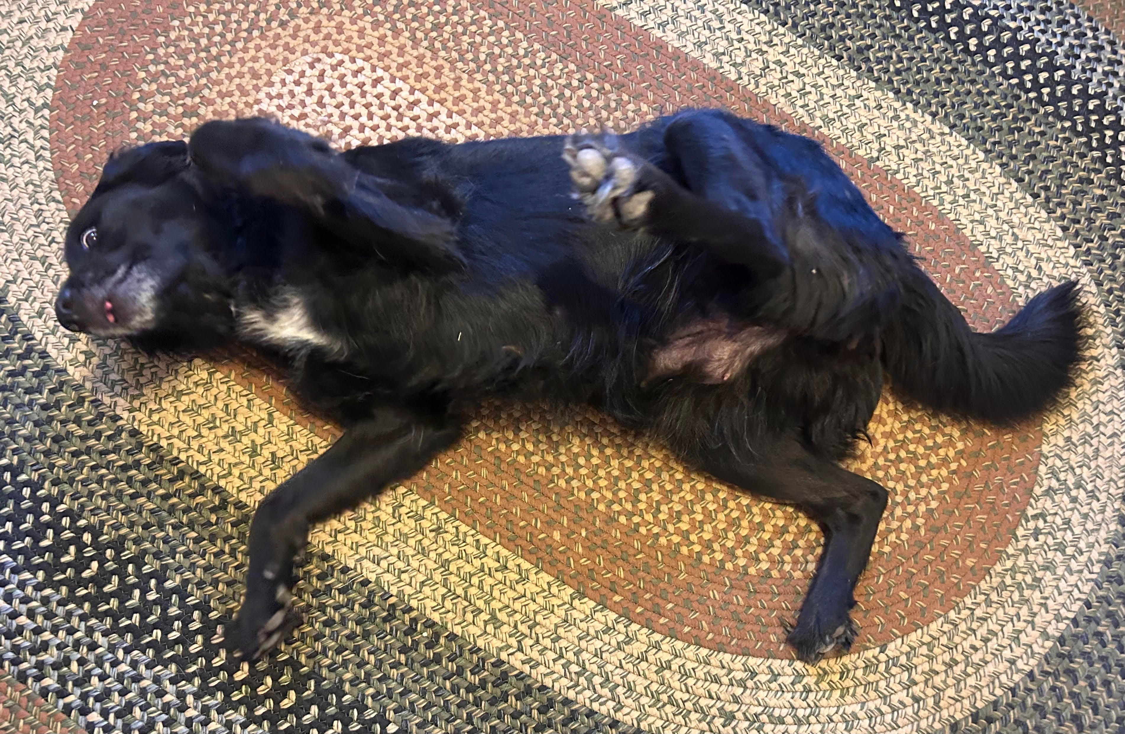 Donate to Luisa's Lifesaving Surgery and Recovery campaign photo, 2 of 8