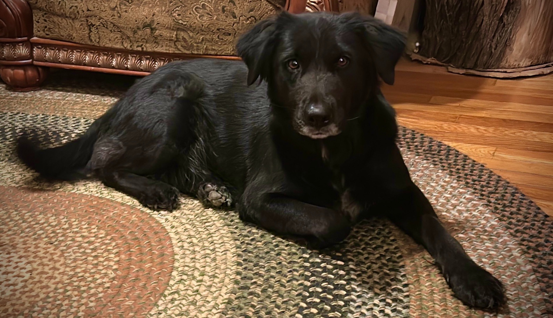 Donate to Luisa's Lifesaving Surgery and Recovery campaign photo, 4 of 8