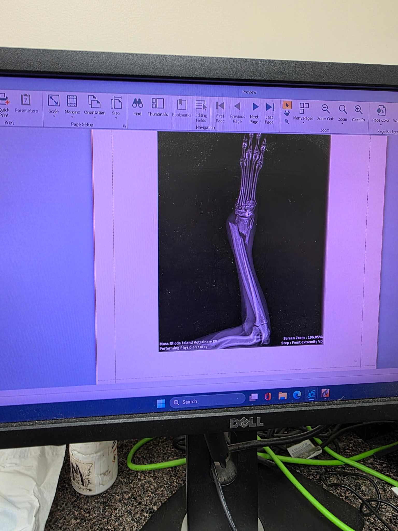 Mouse's Miracle: 10 Days on a Broken Leg campaign photo, 5 of 7