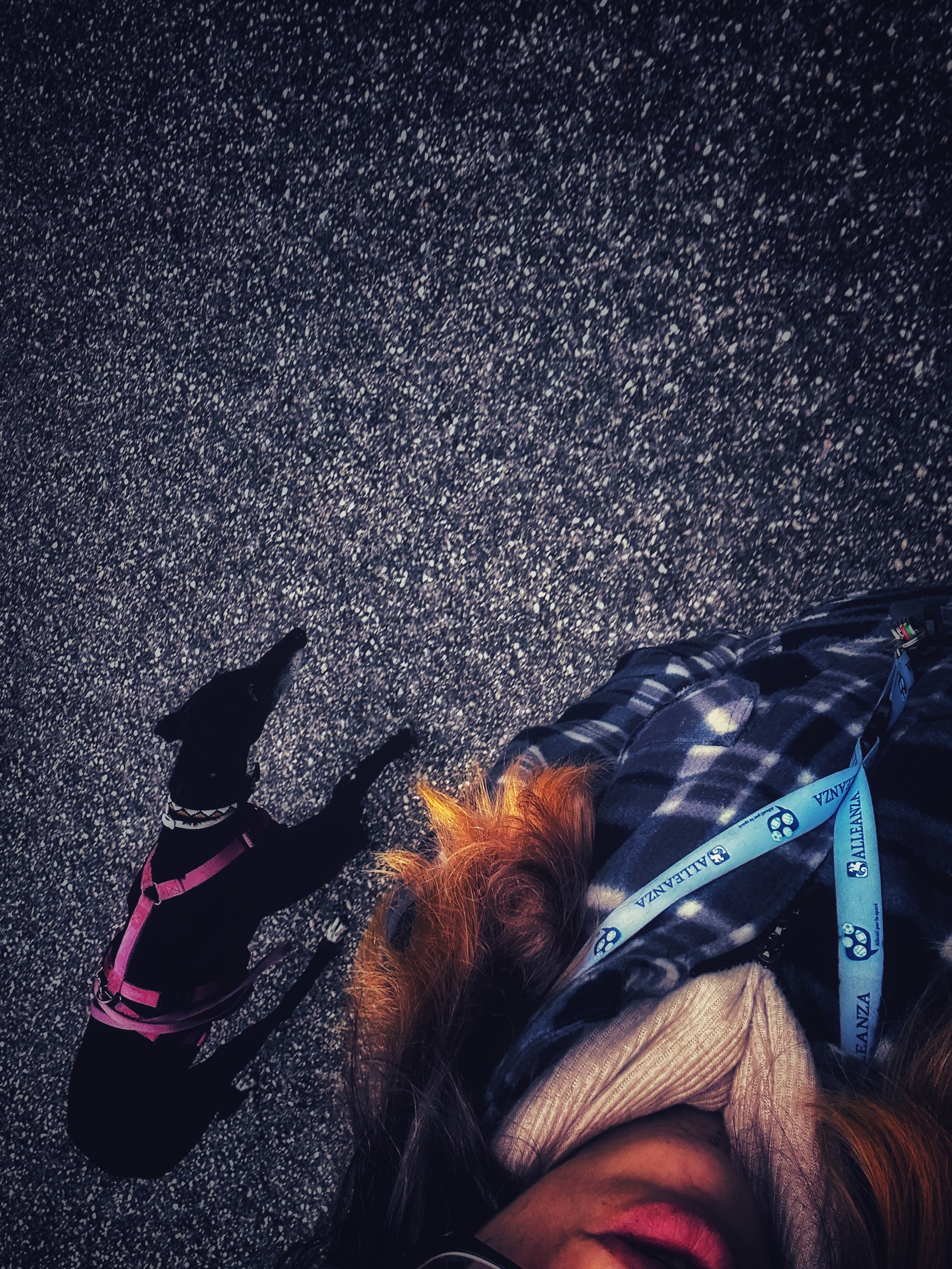  Un Piaggio Porter per ricominciare a vivere – con Raissa campaign photo, 2 of 8