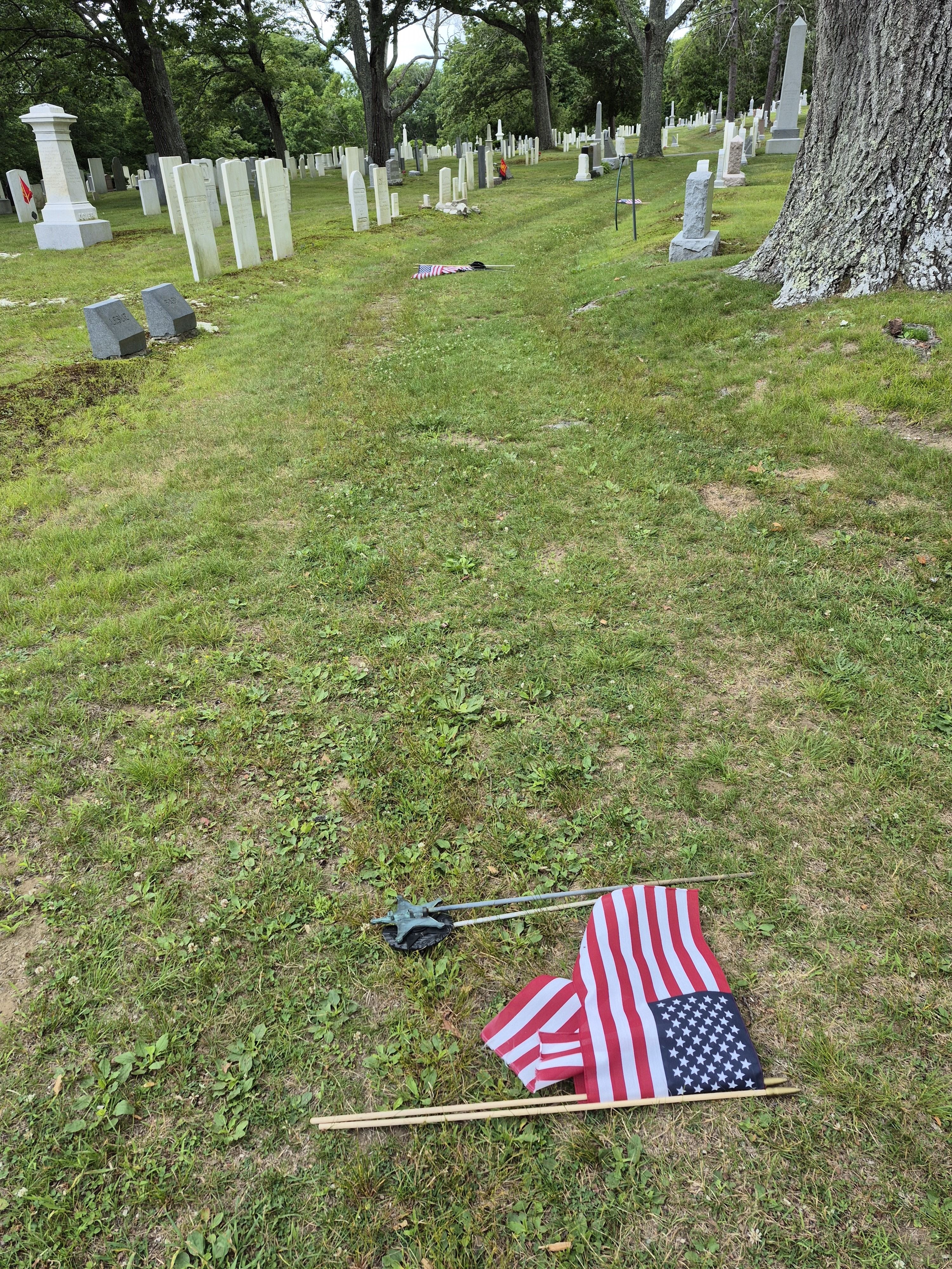 User-uploaded image 2