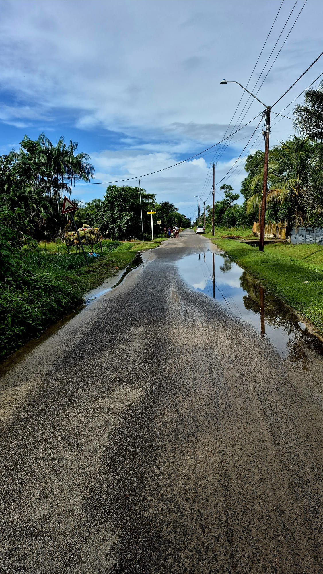 Save the Surinamese Amazon – Locals Need Your Help! campaign photo, 2 of 7