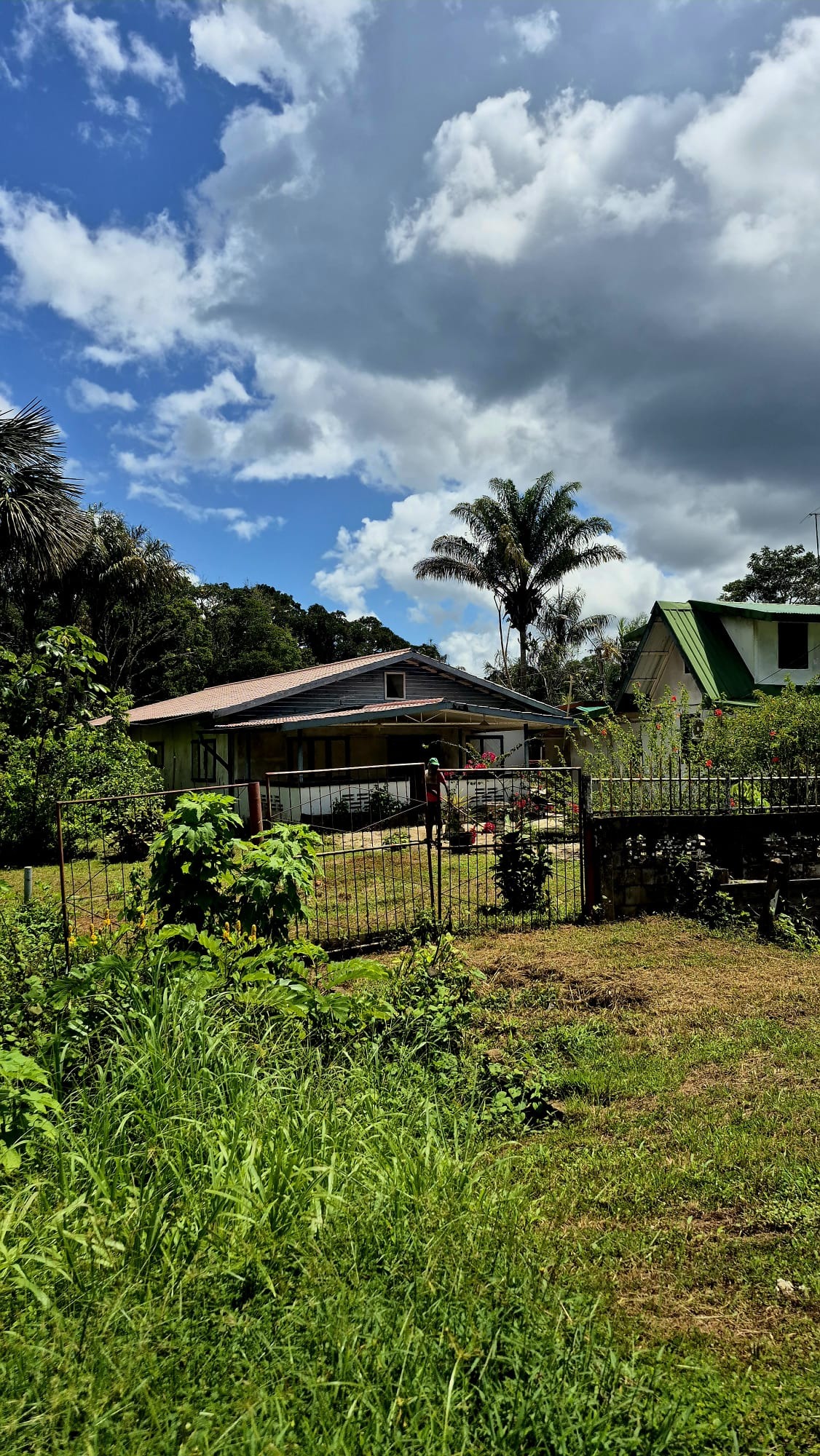Save the Surinamese Amazon – Locals Need Your Help! campaign photo, 5 of 7