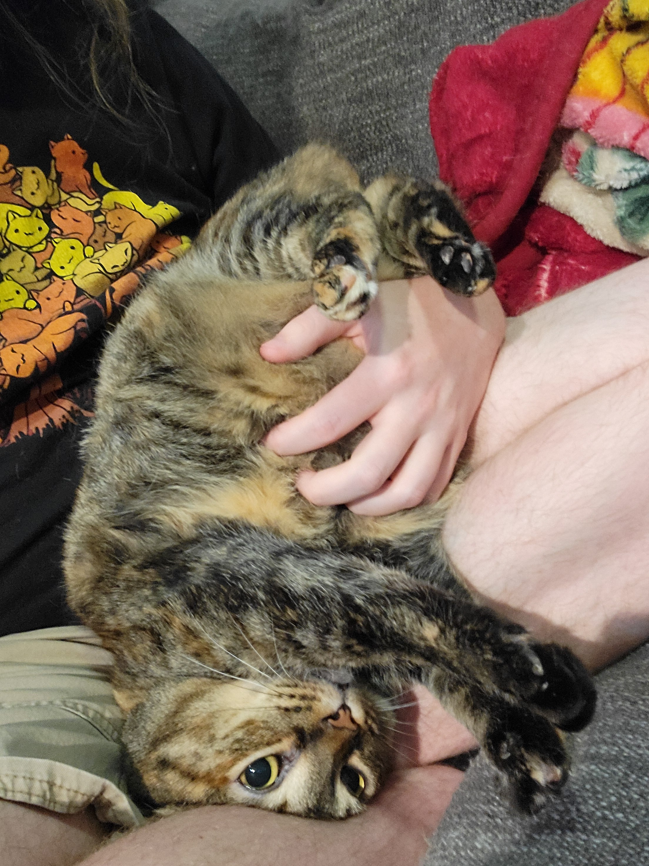 Support Yuki's Life-Saving Surgery campaign photo, 2 of 4