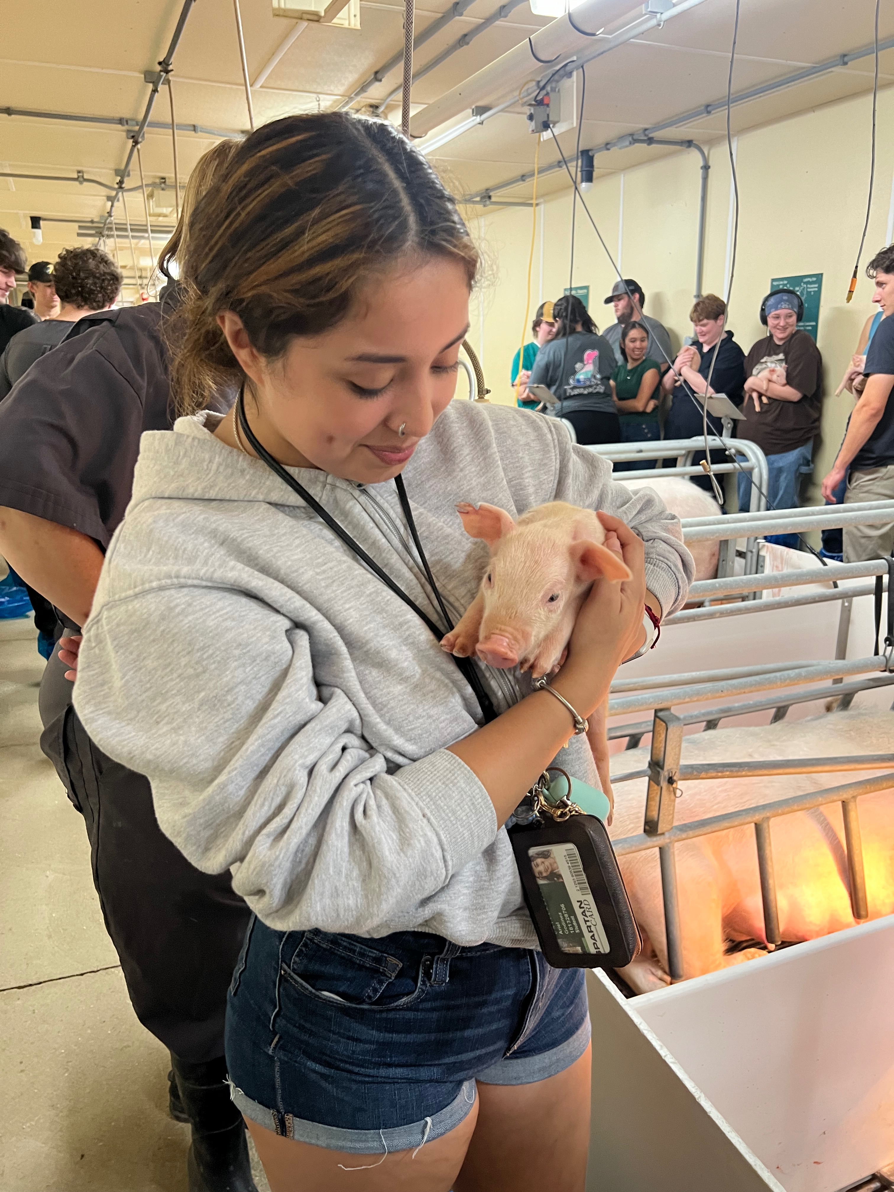 Support Ariel Godinez's Veterinary Journey in Guatemala campaign photo, 2 of 4