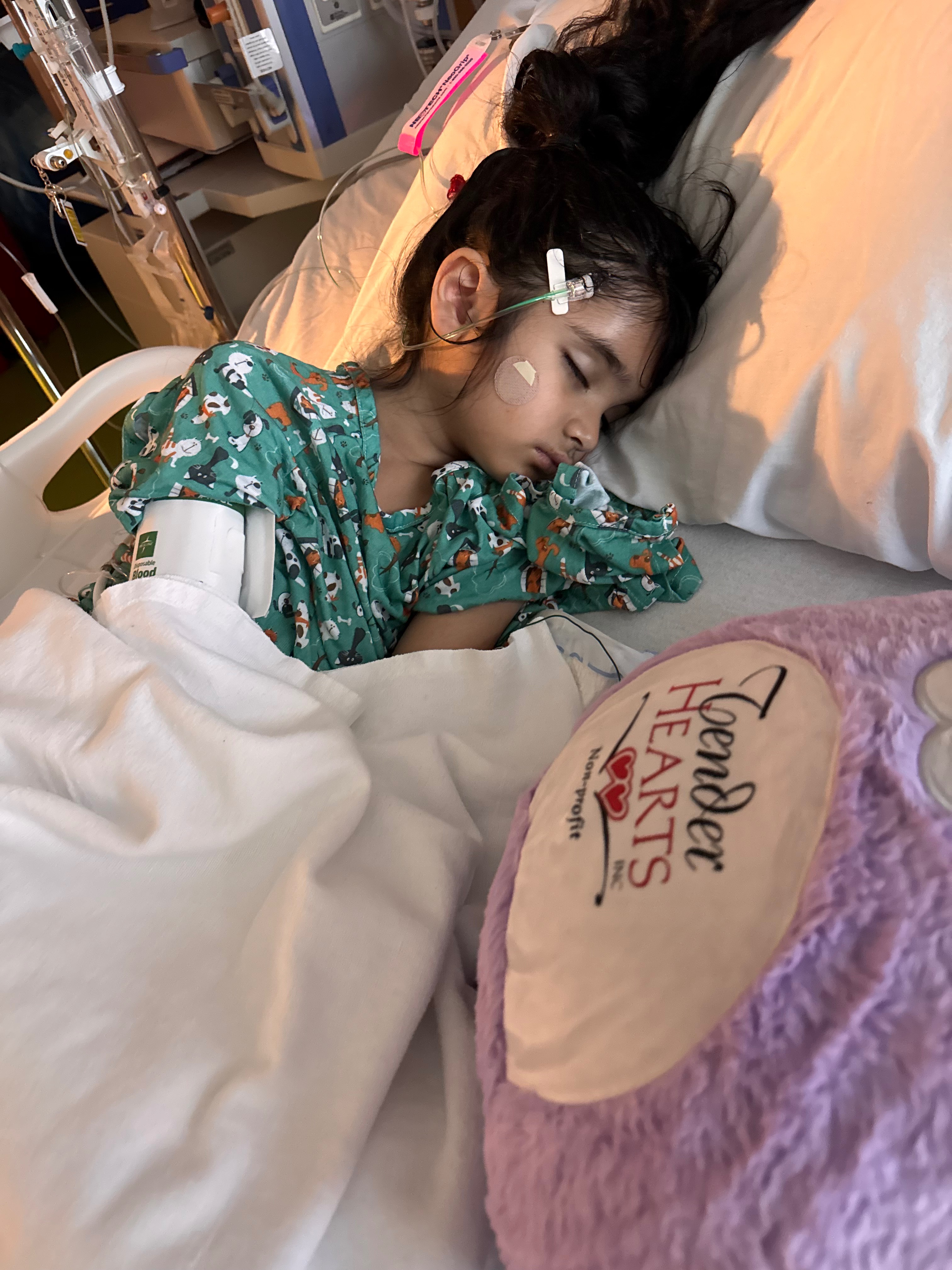 Join Us in Supporting Hamsa and Her Family campaign photo, 5 of 5