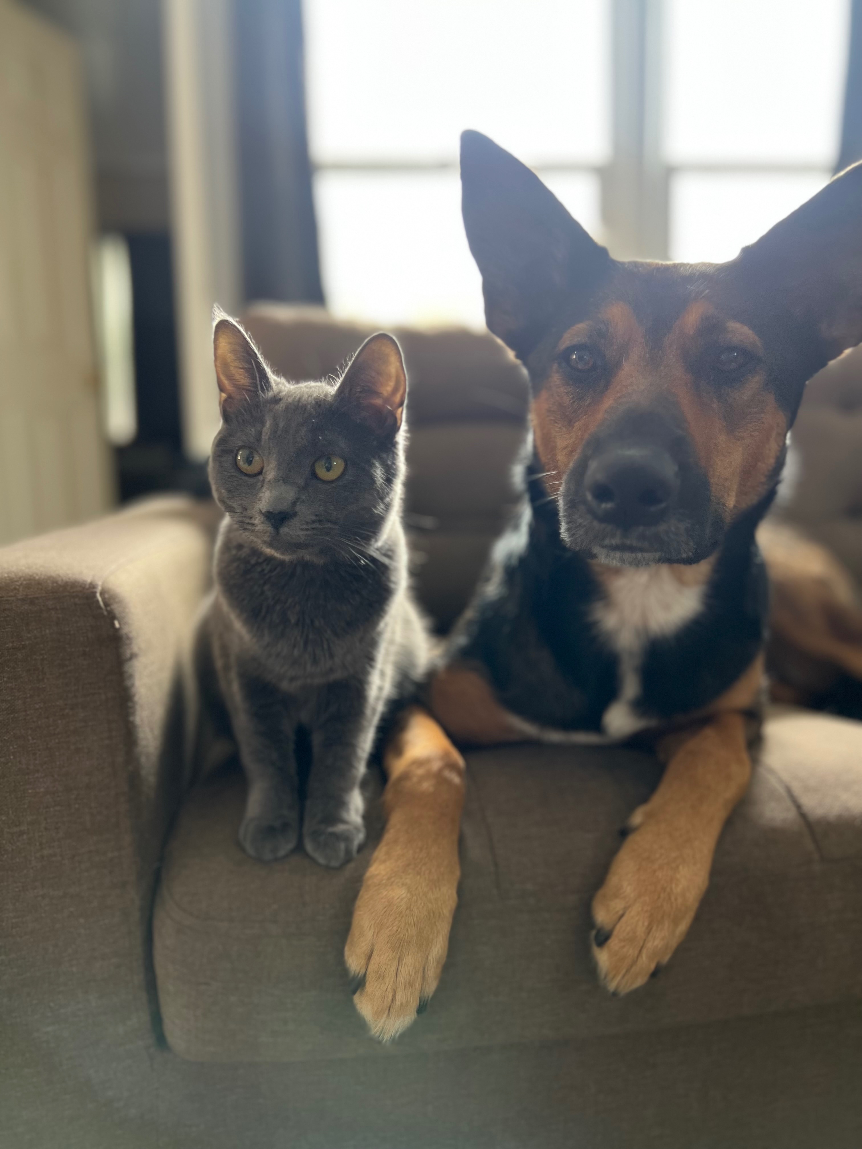Help Patrick and Beto, “JenniTolls” Find a Safer Home campaign photo, 5 of 6