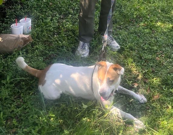 User-uploaded image 1