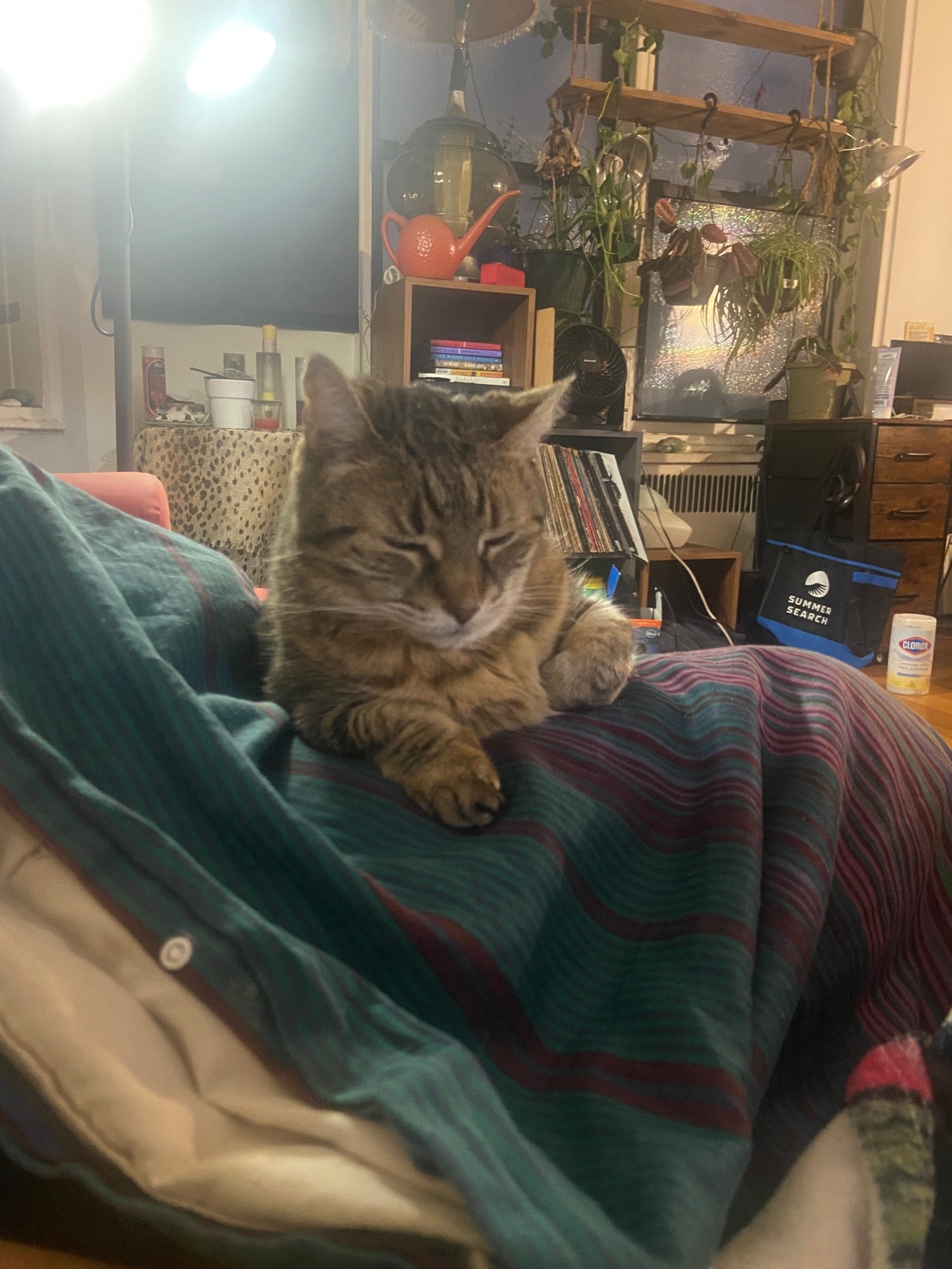 User-uploaded image 1