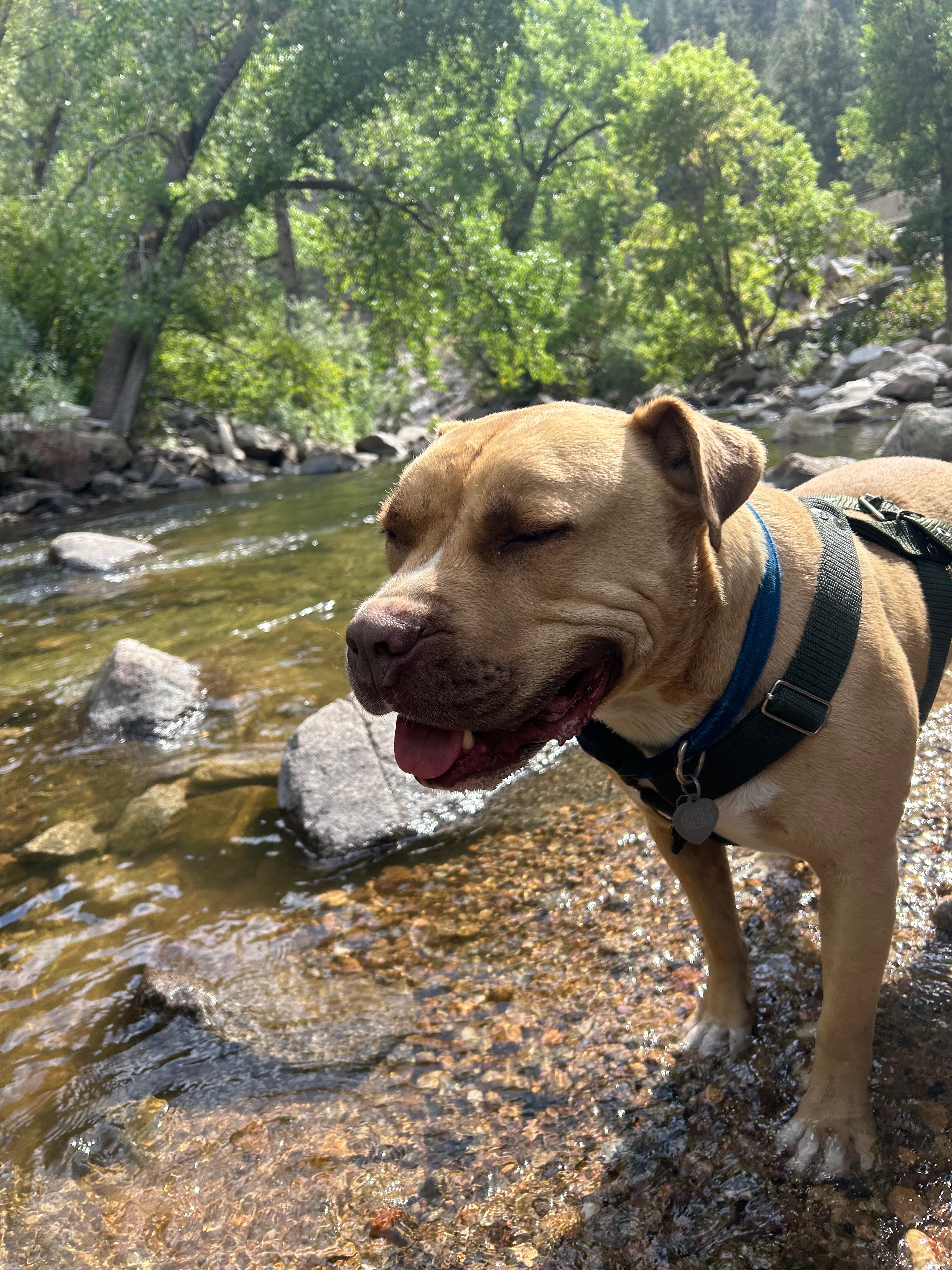 Canelo Needs Your Help campaign photo, 6 of 8