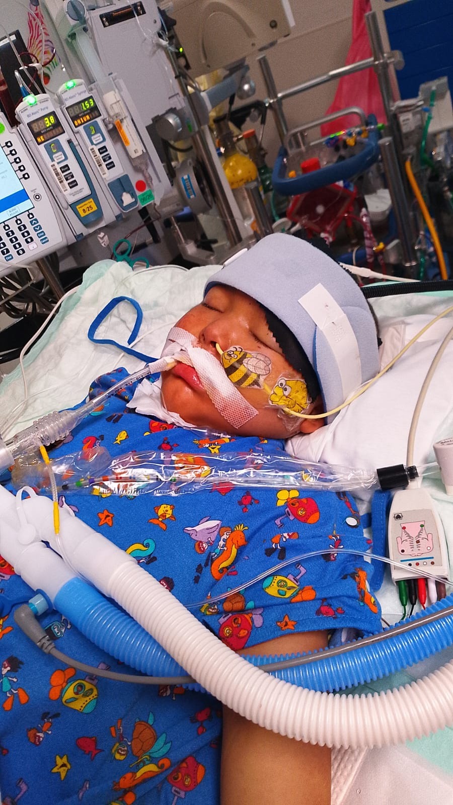 Help Us Bring Baby Eithan Home for Final Rest campaign photo, 2 of 3